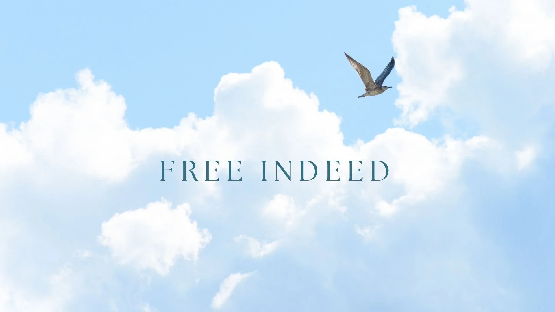 Free Indeed