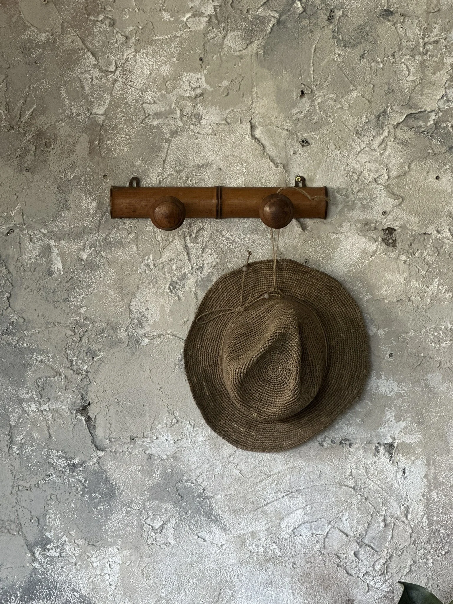 IMG_3702.JPEG