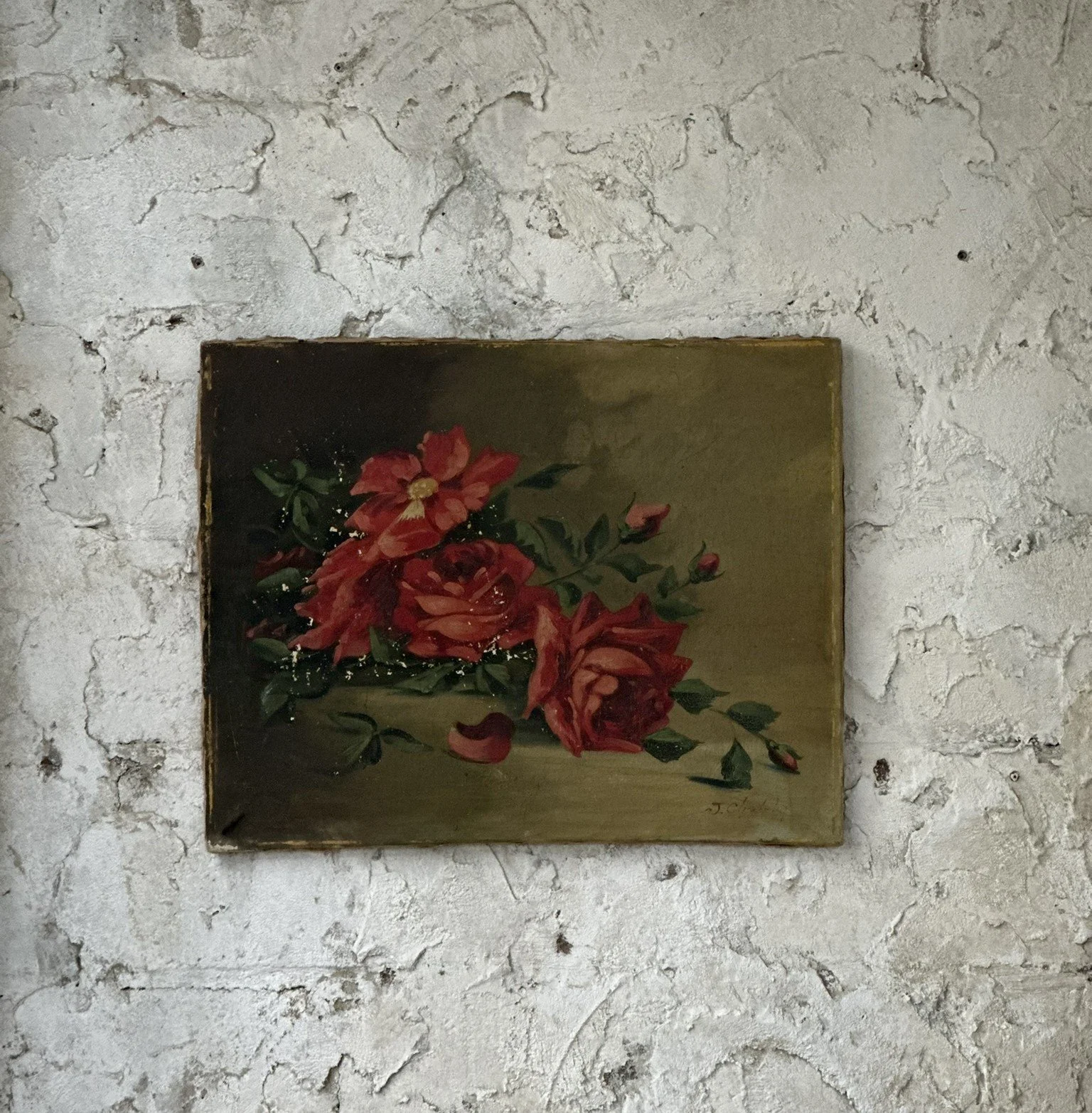 IMG_1031.JPEG