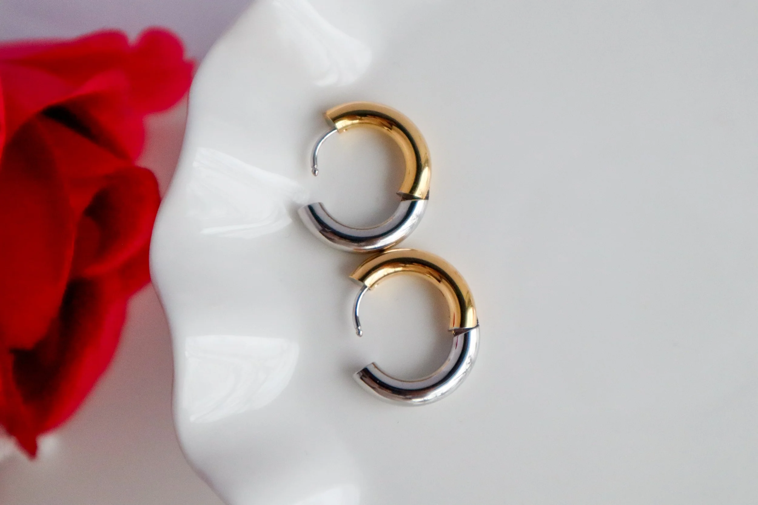 Stainless Steel Two Tone Hoop Earrings