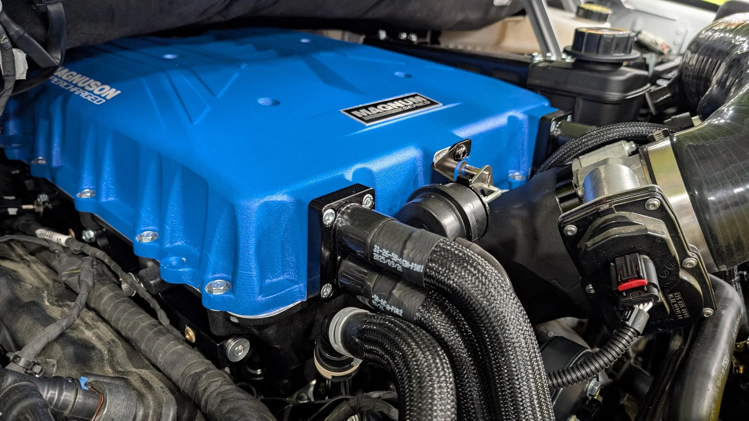 Magnuson TVS2650 Supercharger Kit | 2021–2026 Ford F-150 5.0L Coyote V8