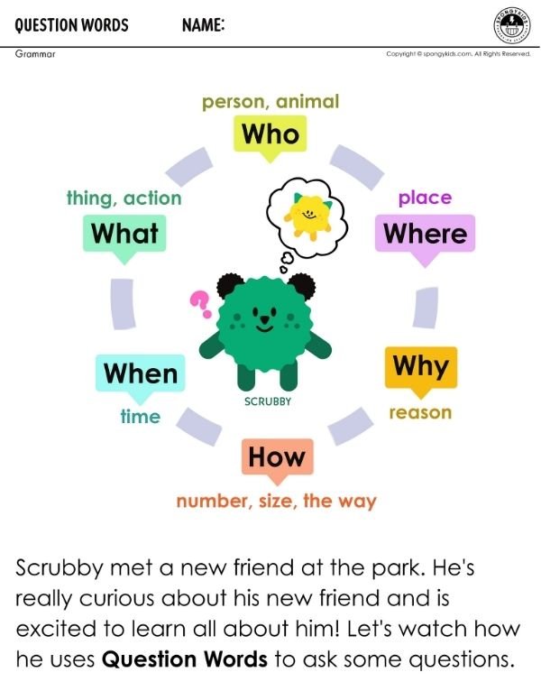 Question Words