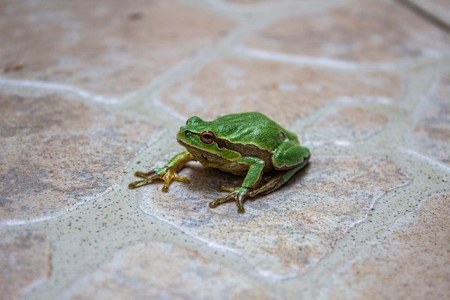 dropiem-WtiMfaWIo-4-unsplash 12.21.19 AM.jpg