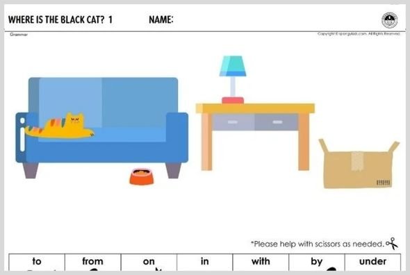 Where Is the Black Cat? 1