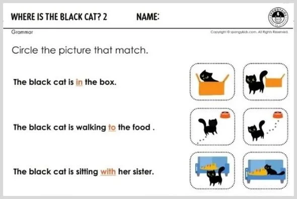 Where Is the Black Cat? 2
