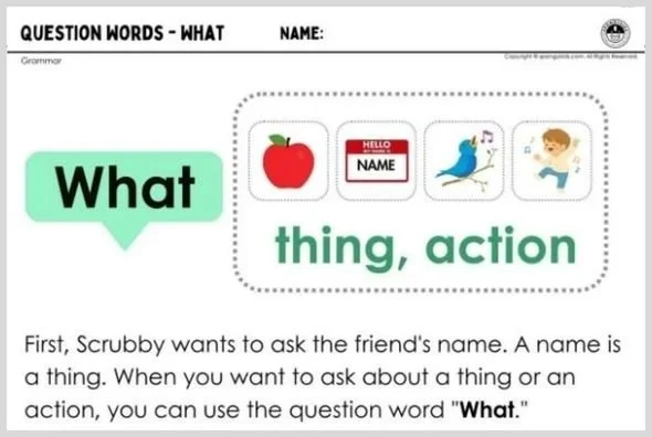 Question Words - What