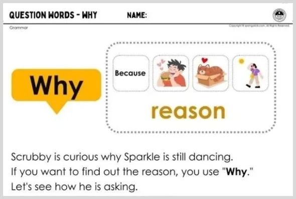 Question Words - Why