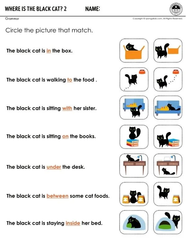 Where Is the Black Cat? 2