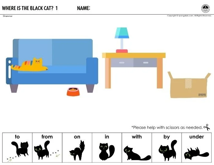 Where Is the Black Cat? 1
