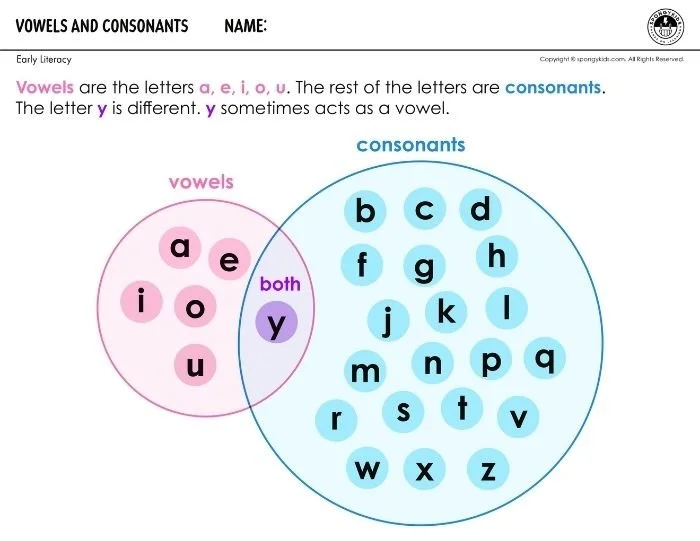 Vowels and Consonants