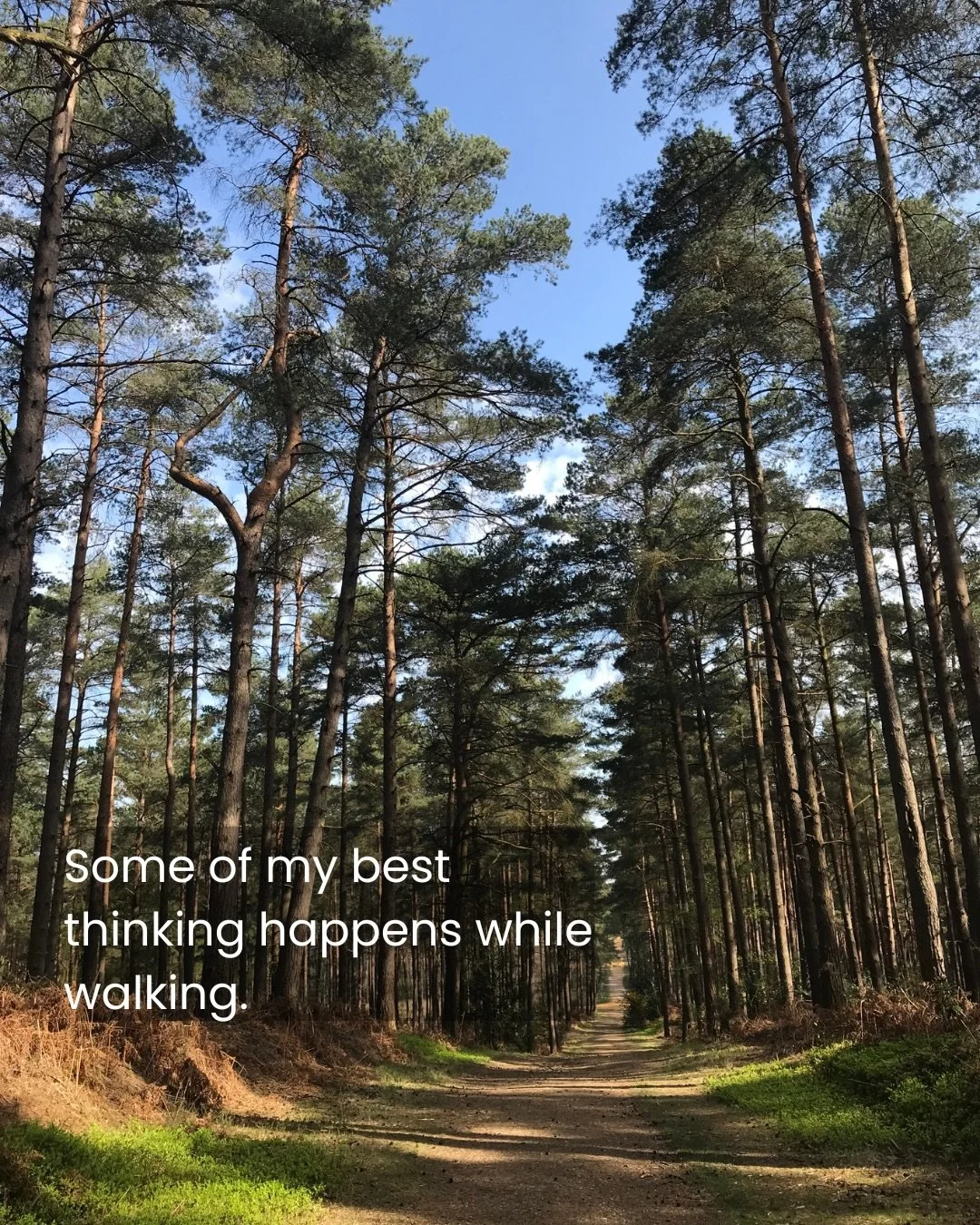 Some of my best thinking happens while walking.

Away from notifications, noise and to-do lists, I often find a little more space to reflect, process and notice what&rsquo;s going on around me.

Many of those reflections eventually find their way int