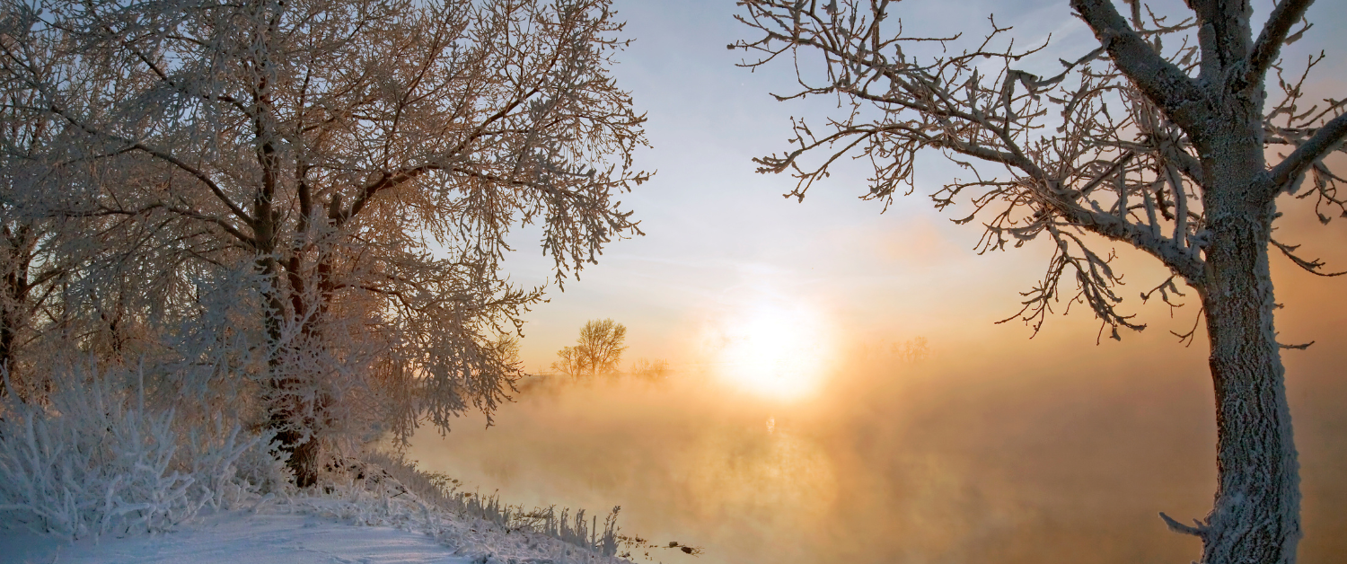 Soft winter sunrise through frost-covered trees, suggesting gradual change, returning light and a gentle transition between seasons.