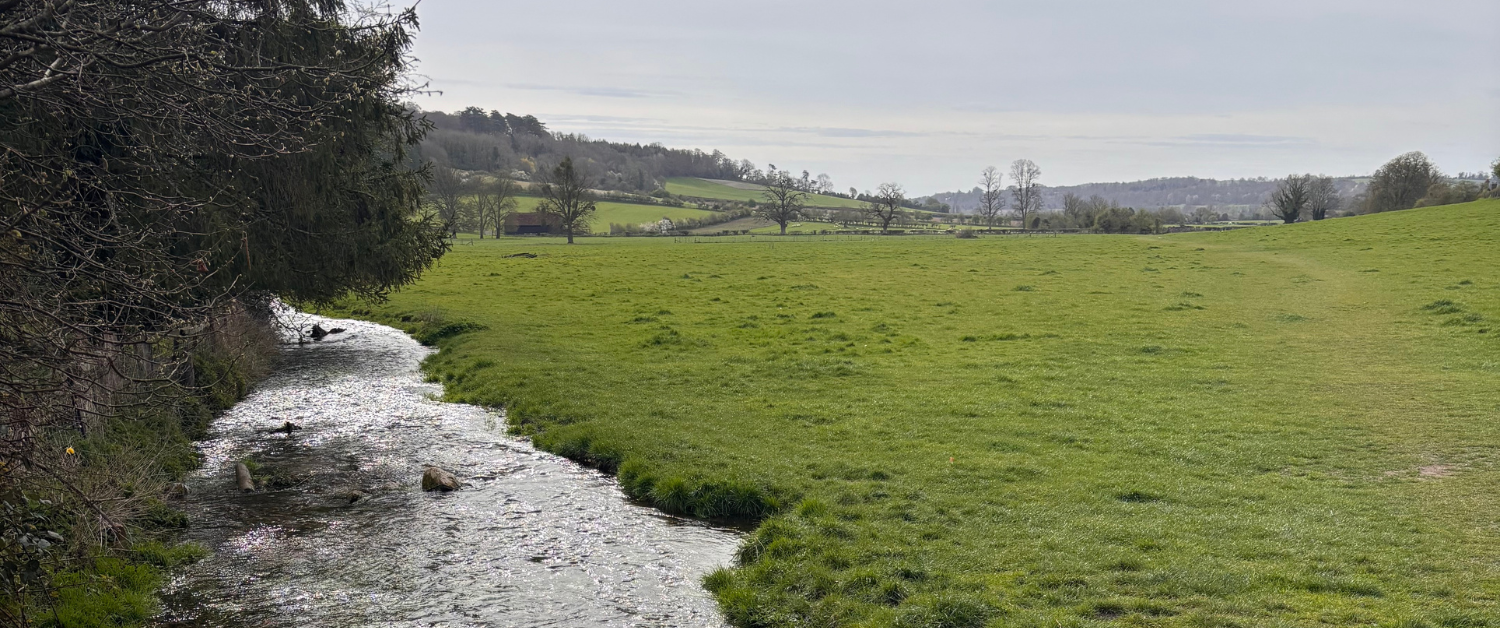 Countryside stream and green fields near Hambleden during a spring walking route