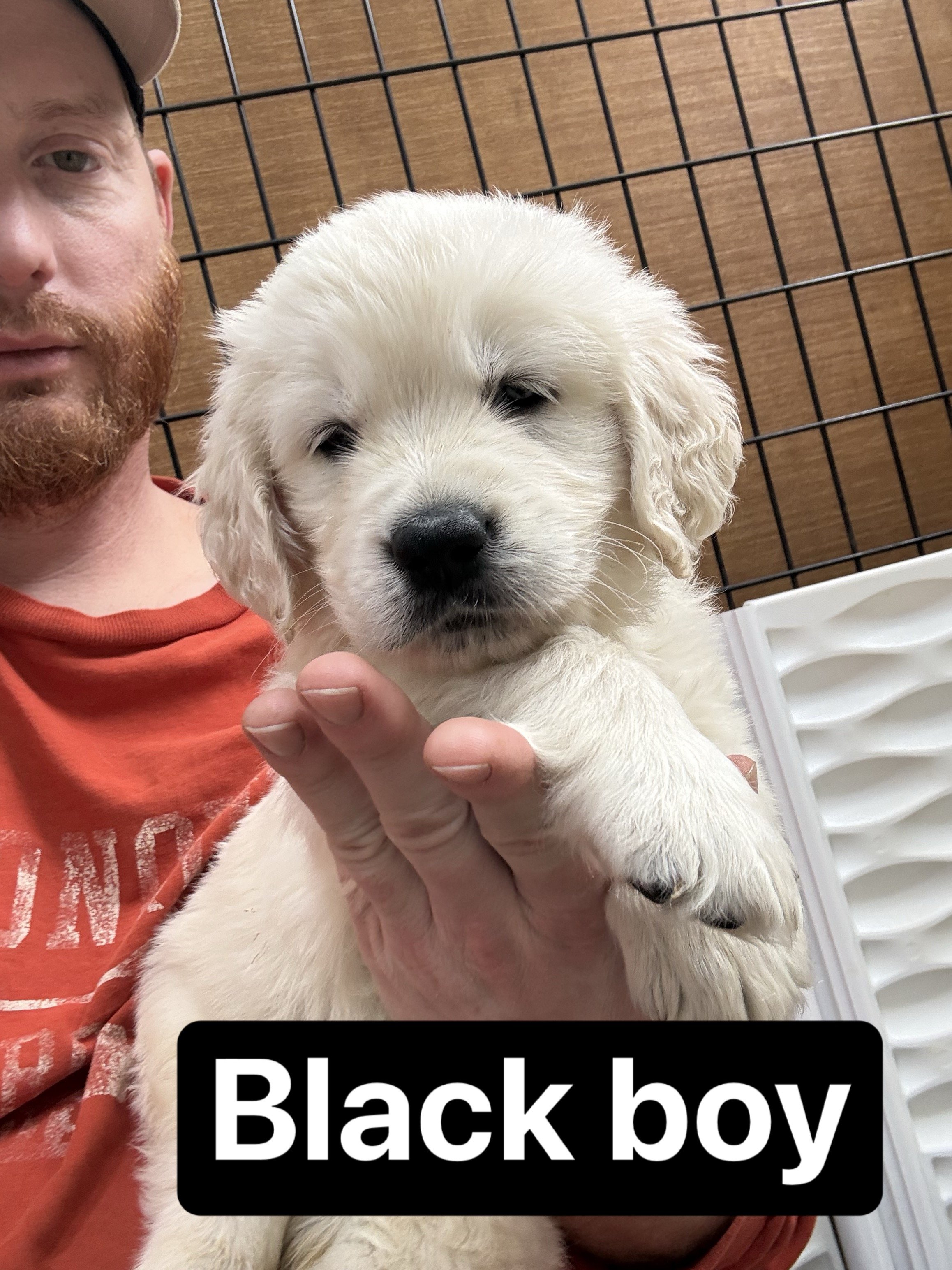A man holding a small, light-colored puppy with closed eyes in front of a wooden panel and black metal grid background, with a black sticker labeled 'Black boy' near the top.
