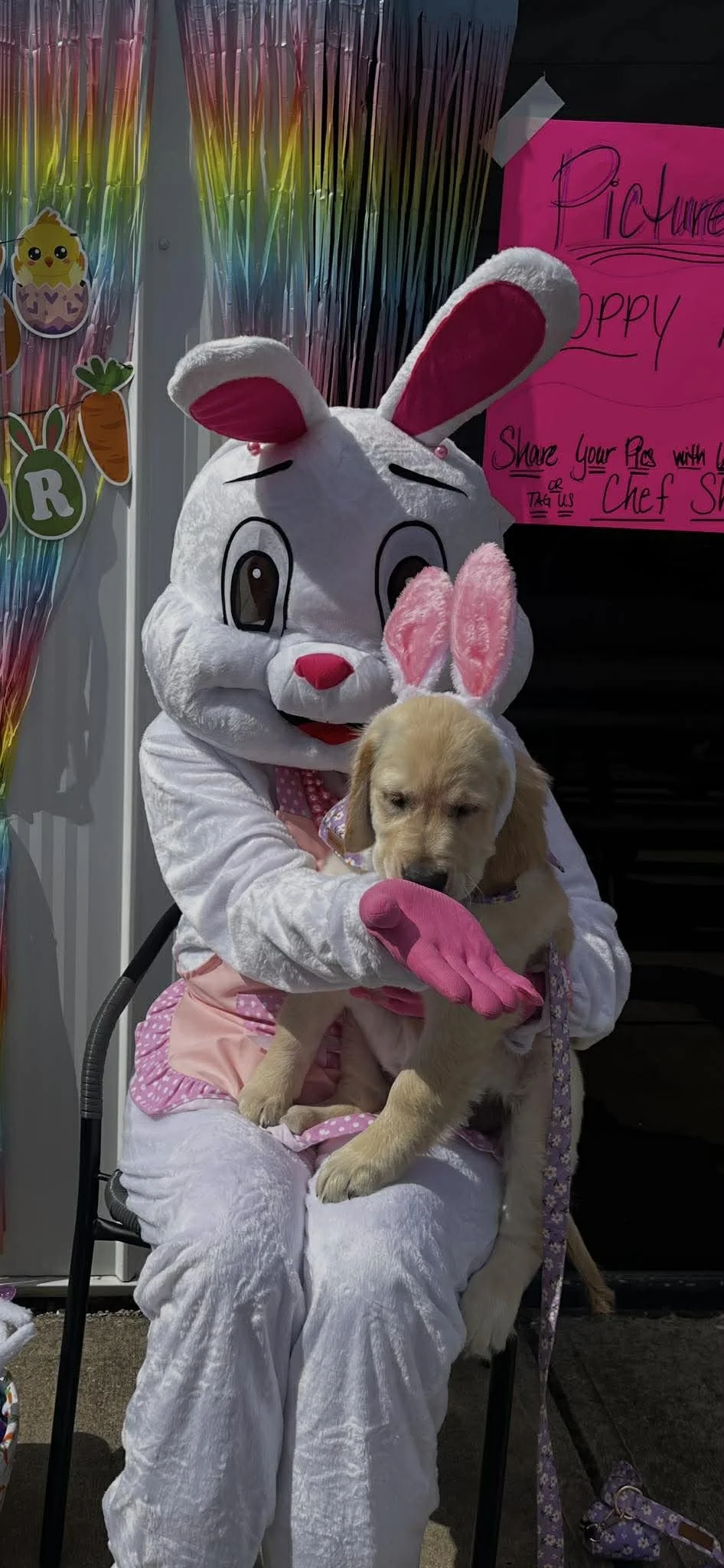 Person in a bunny costume holding a puppy wearing bunny ears, at an Easter-themed event.