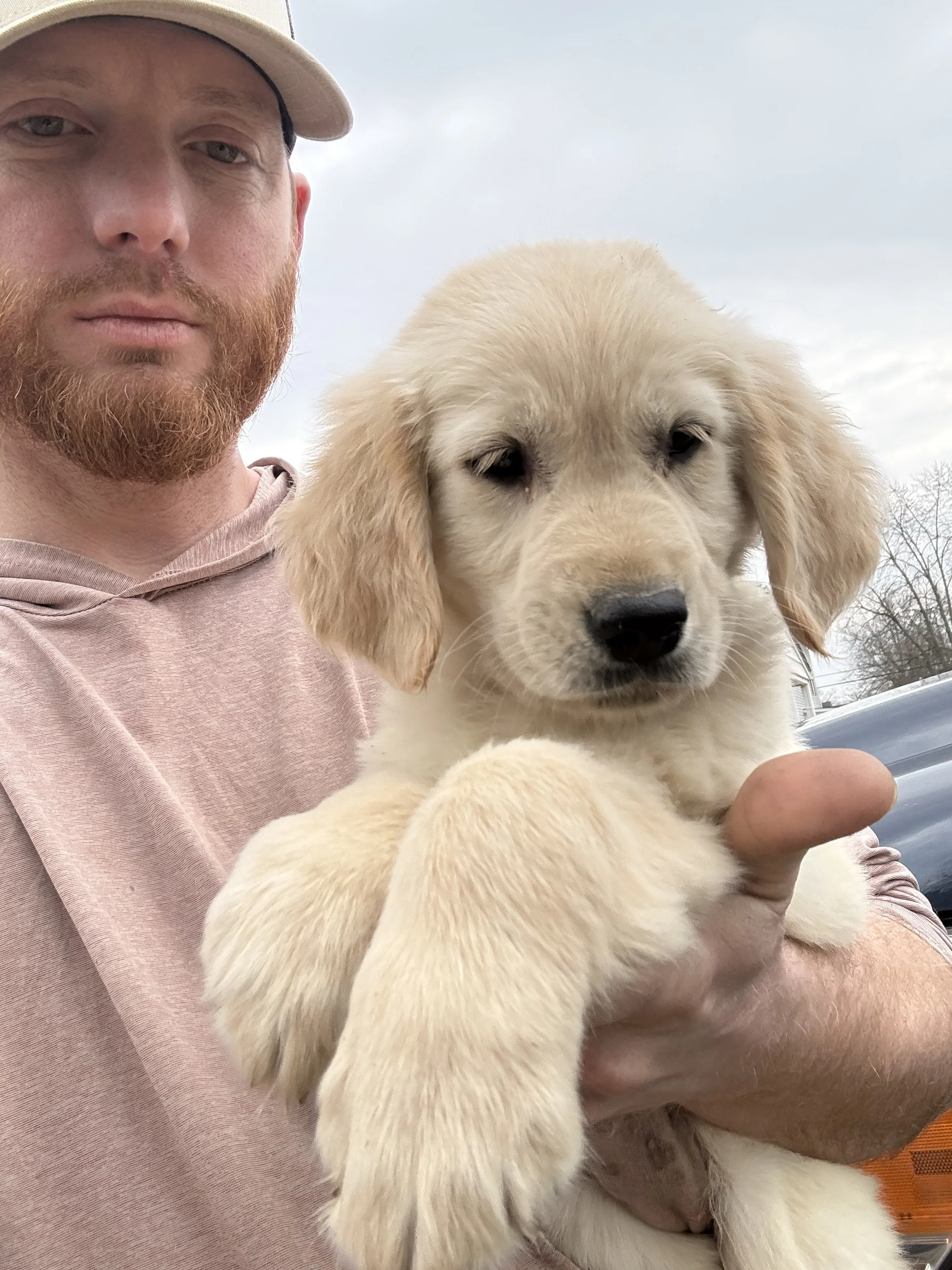 A man with a red beard and a light-colored cap holding a yellow Labrador retriever puppy outdoors on a cloudy day.