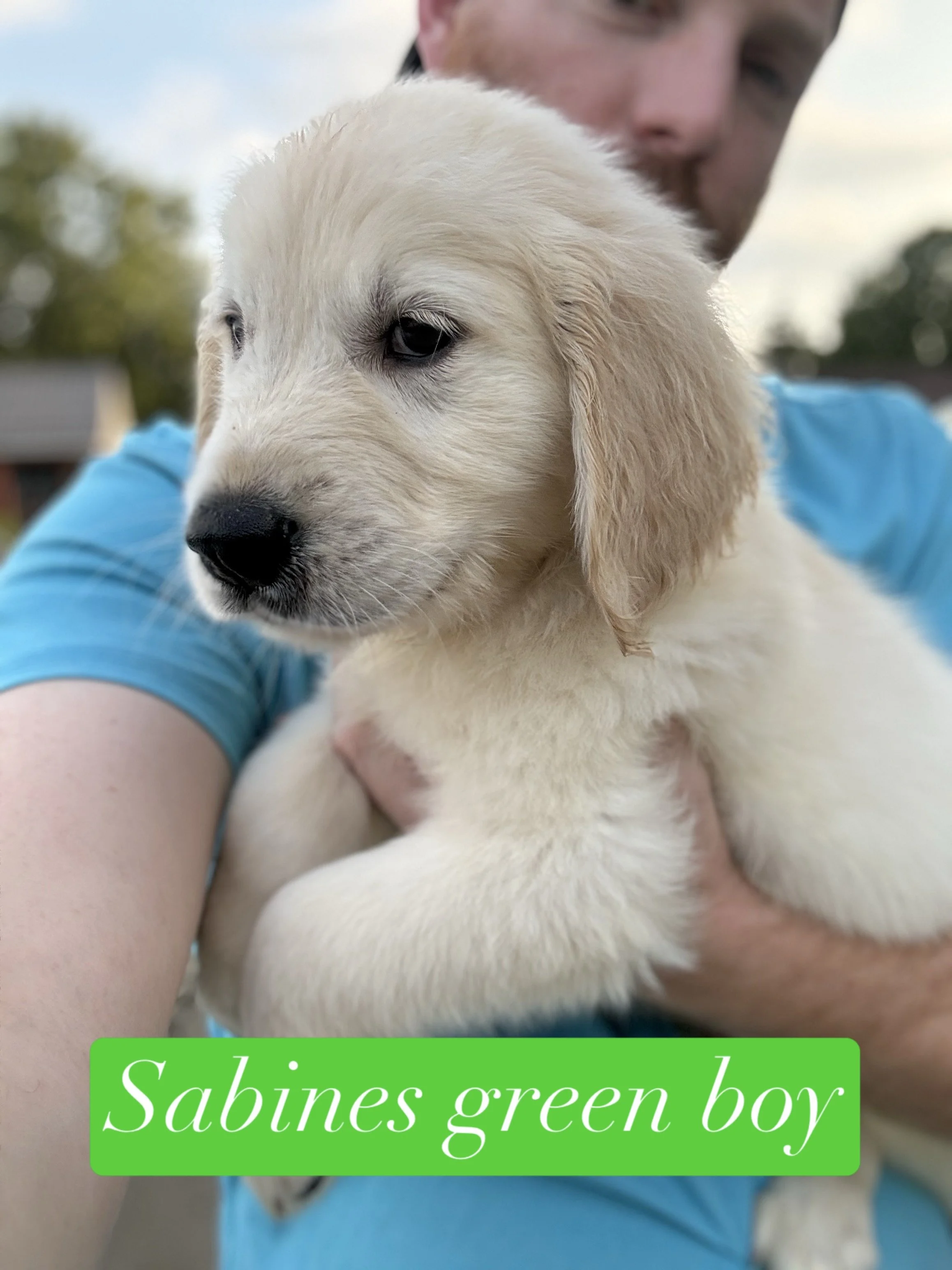 A man holding a light-colored puppy with droopy ears and dark eyes, standing in front of a wooden backdrop with a sign reading "Sabines green boy" in green and white text.