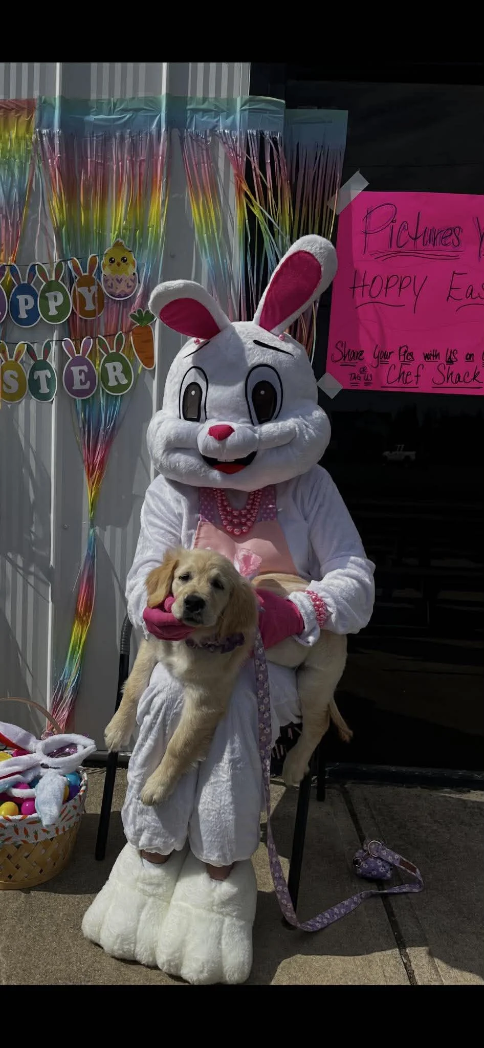 Person dressed in a bunny costume holding a golden retriever puppy in front of an Easter-themed backdrop with colorful decorations and a pink sign.