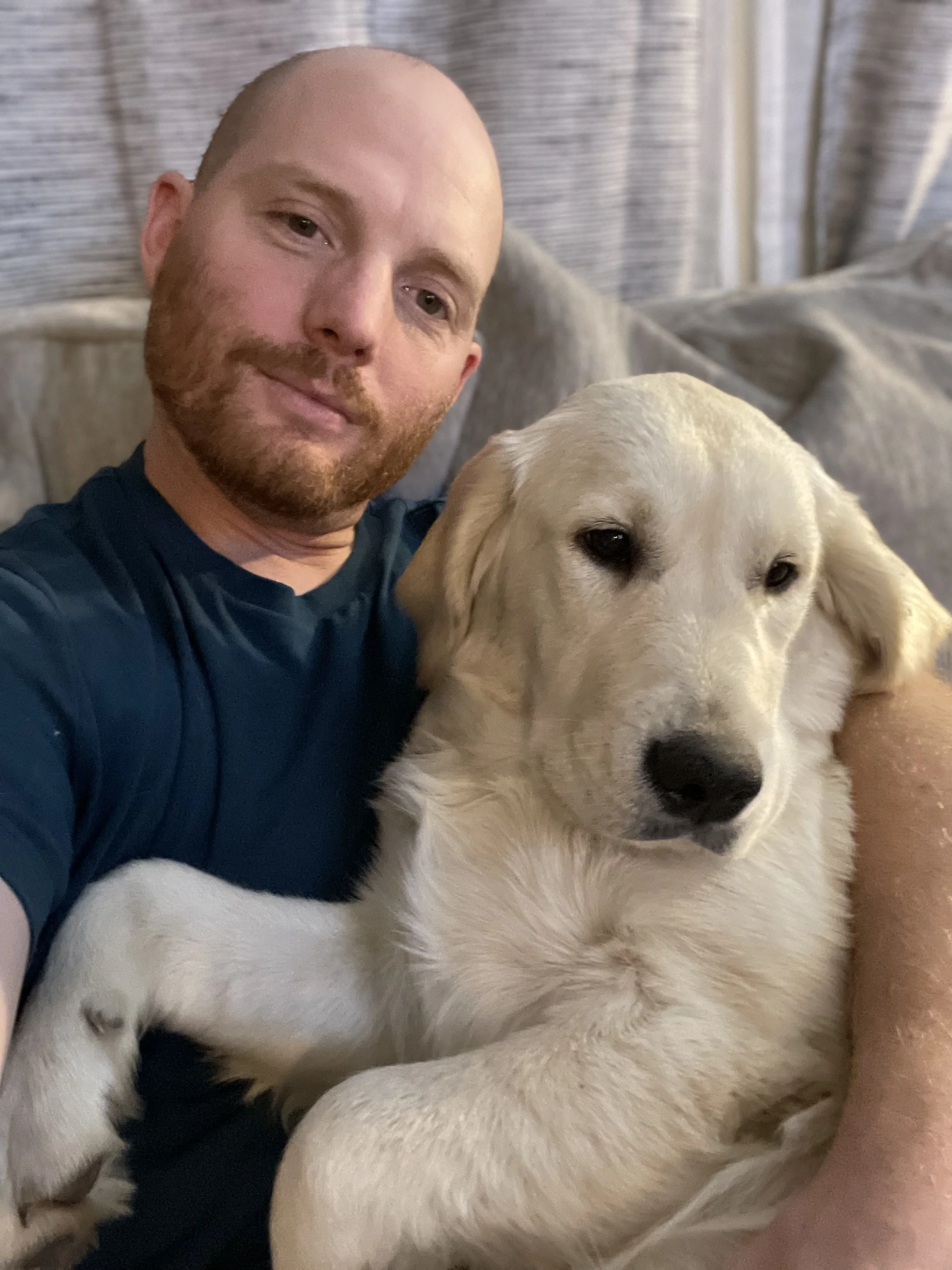 A man with a beard and a blue shirt sitting on a couch, holding a yellow Labrador Retriever puppy.