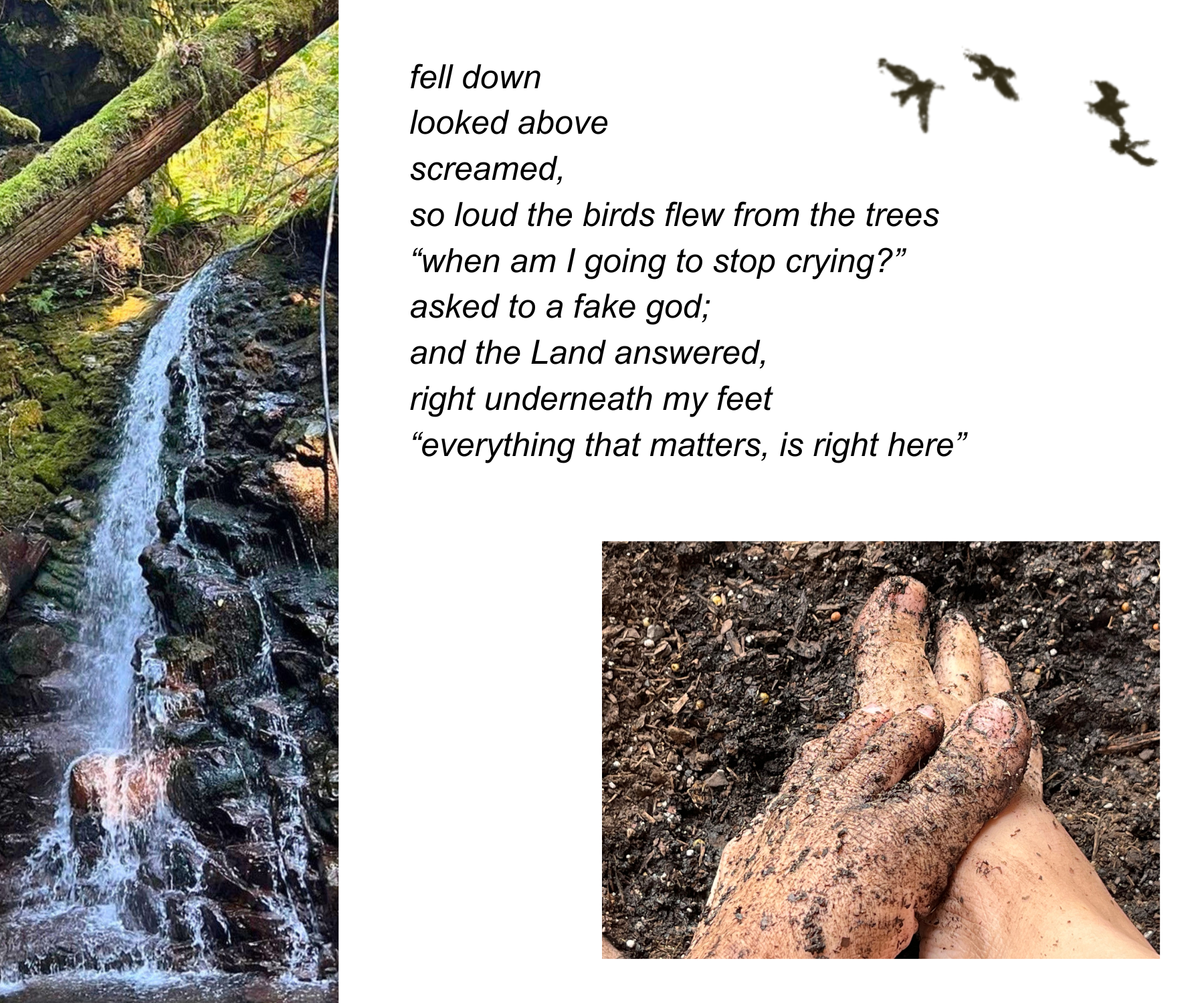 Back to the Land, 2019