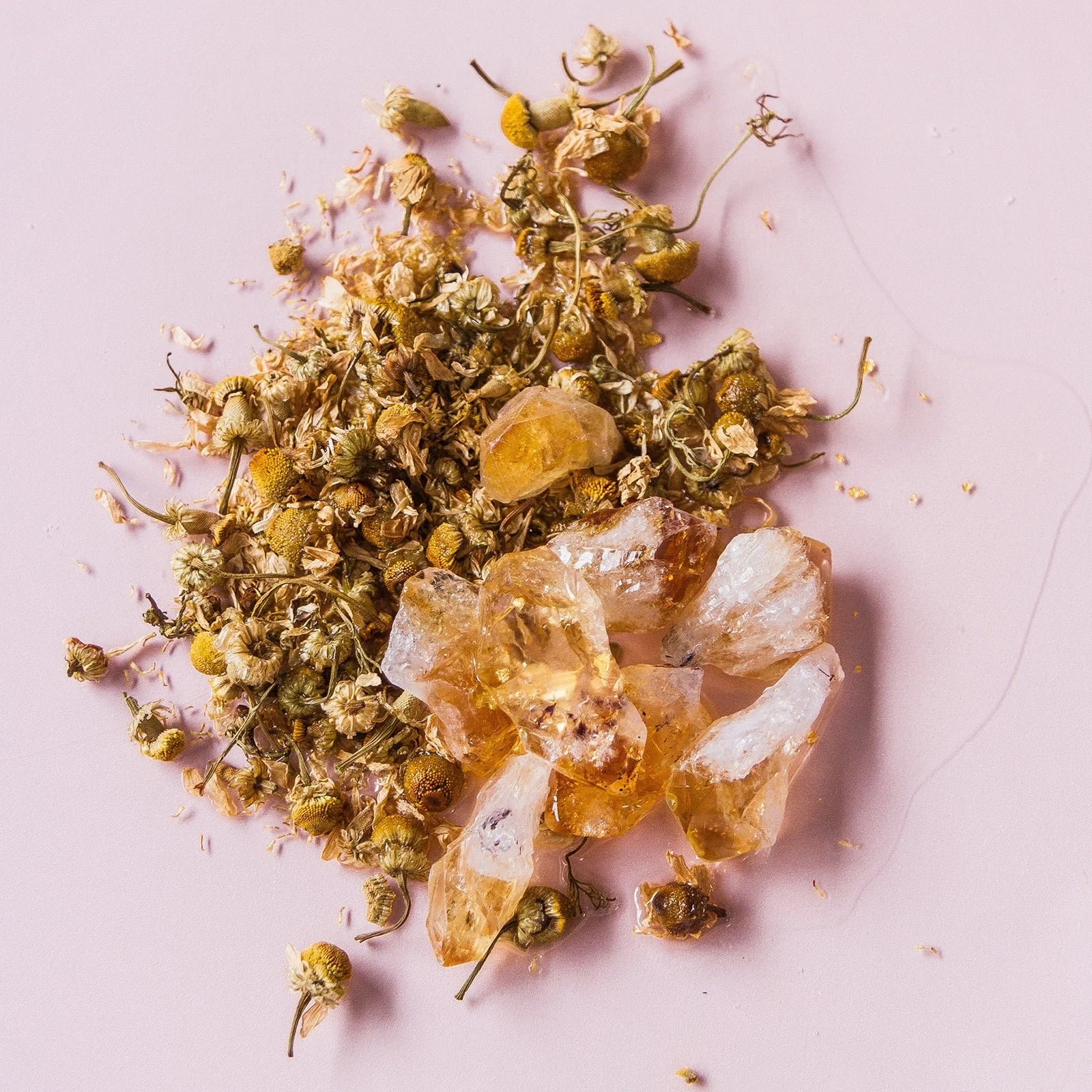 chamomile dreams.jpeg