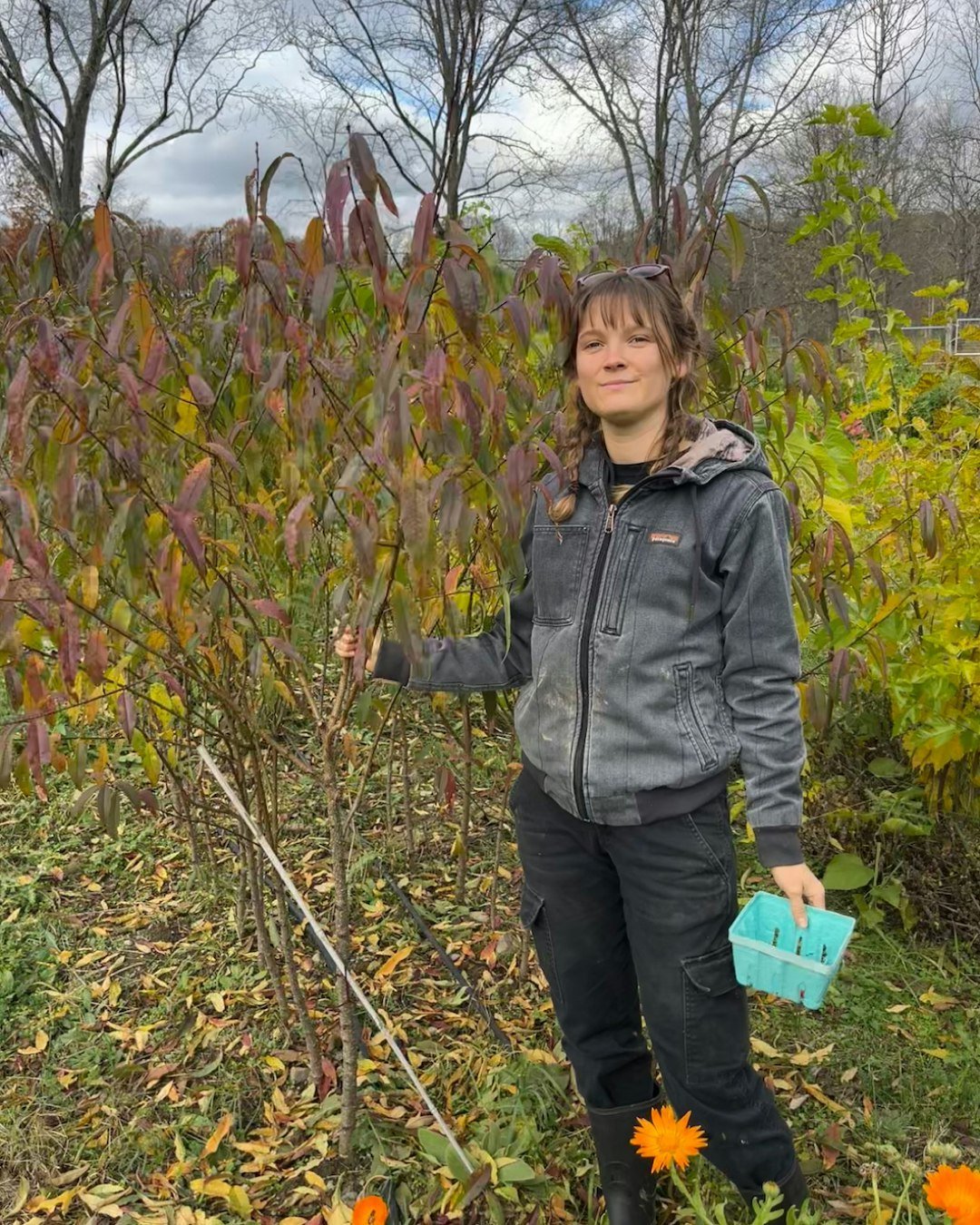Crow Hill Nursery is a native &amp; perennial-focused nursery in Ancram, NY that has options for your garden that you didn't even know you needed - from classic garden vegetables &amp; flowers to hybrid chestnuts, cultivar hickories, berries, bramble
