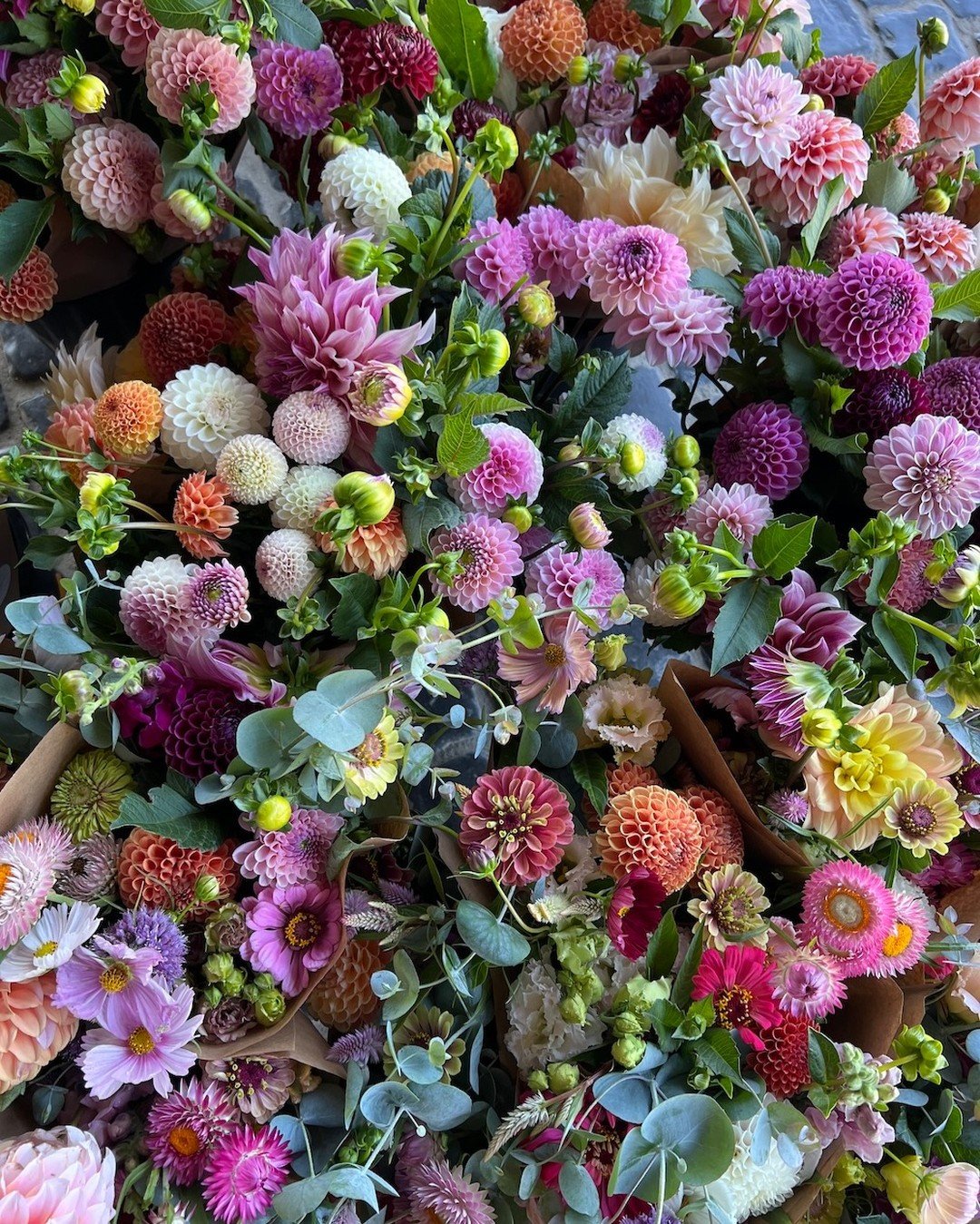 One of the greatest joys of spring is the reemergence of the colorful blooms we missed all winter. We could not be more excited to have @christinemcovino &amp; @wildirisflowertruck at the market, bringing a variety of cut flowers and tubers 🌷 

Whet
