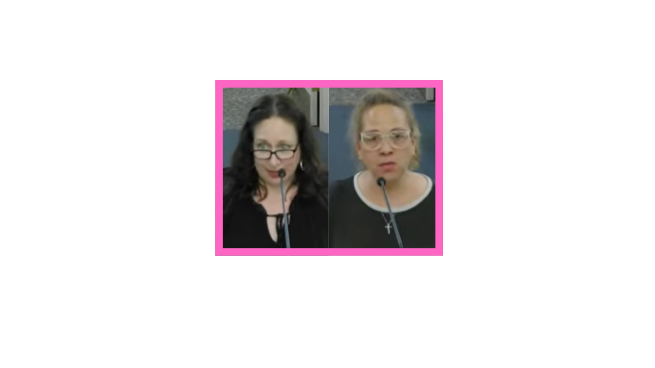 Keystone Equality Interns Address Northampton County Council to Advocate for Non Discrimination Ordinance