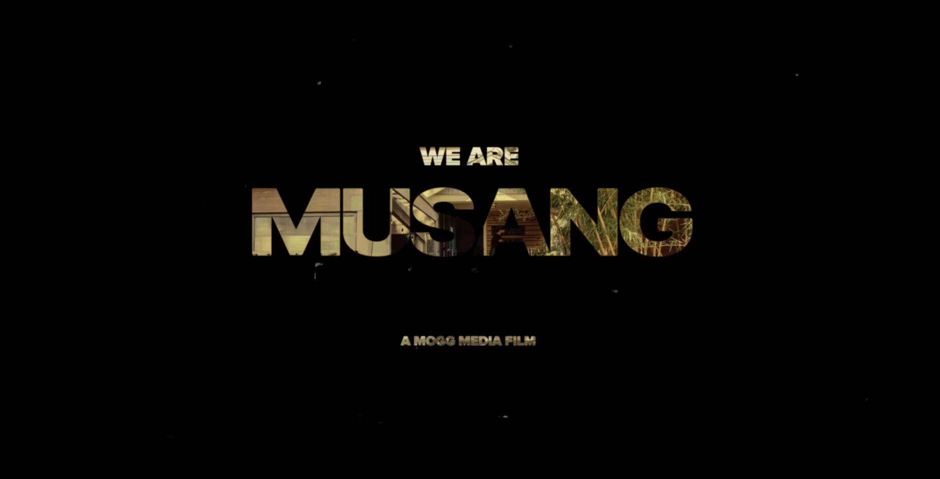 We Are Musang - Short Documentary