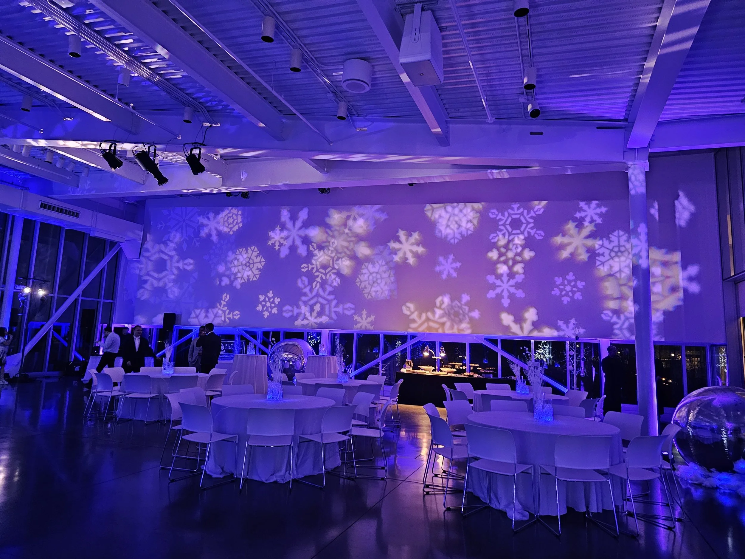 Holiday Party Lighting 