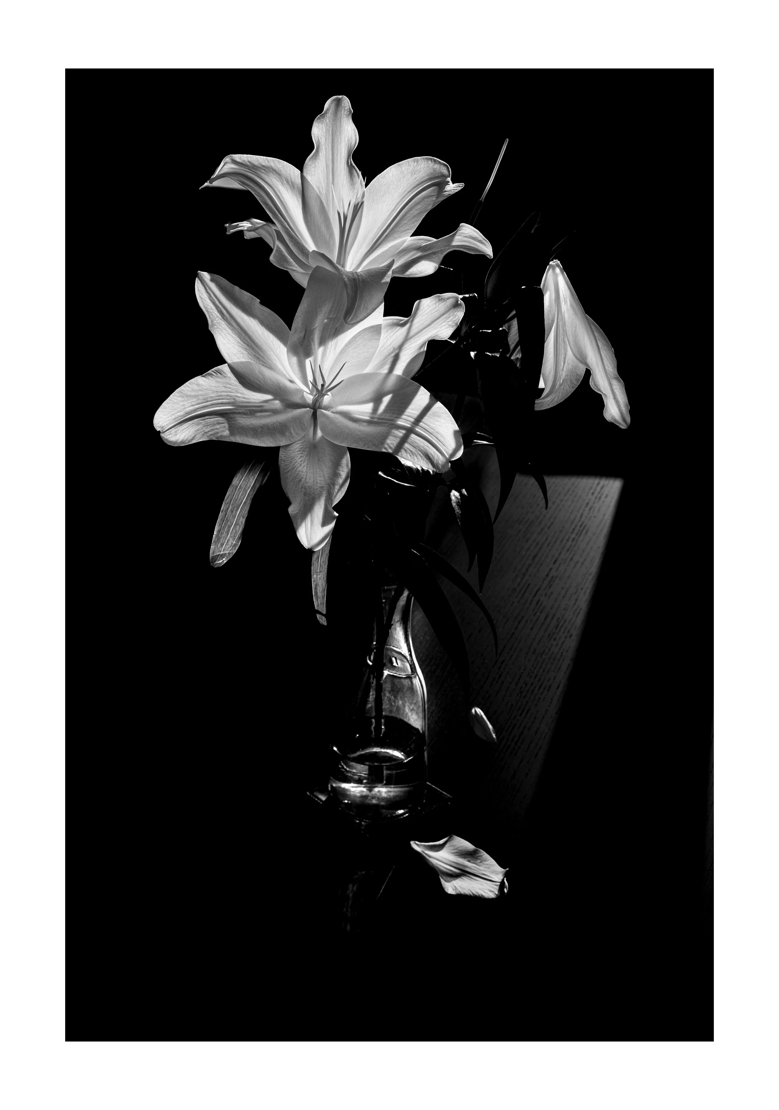 Black and white photo of lilies in a glass vase with some fallen petals on a dark background.