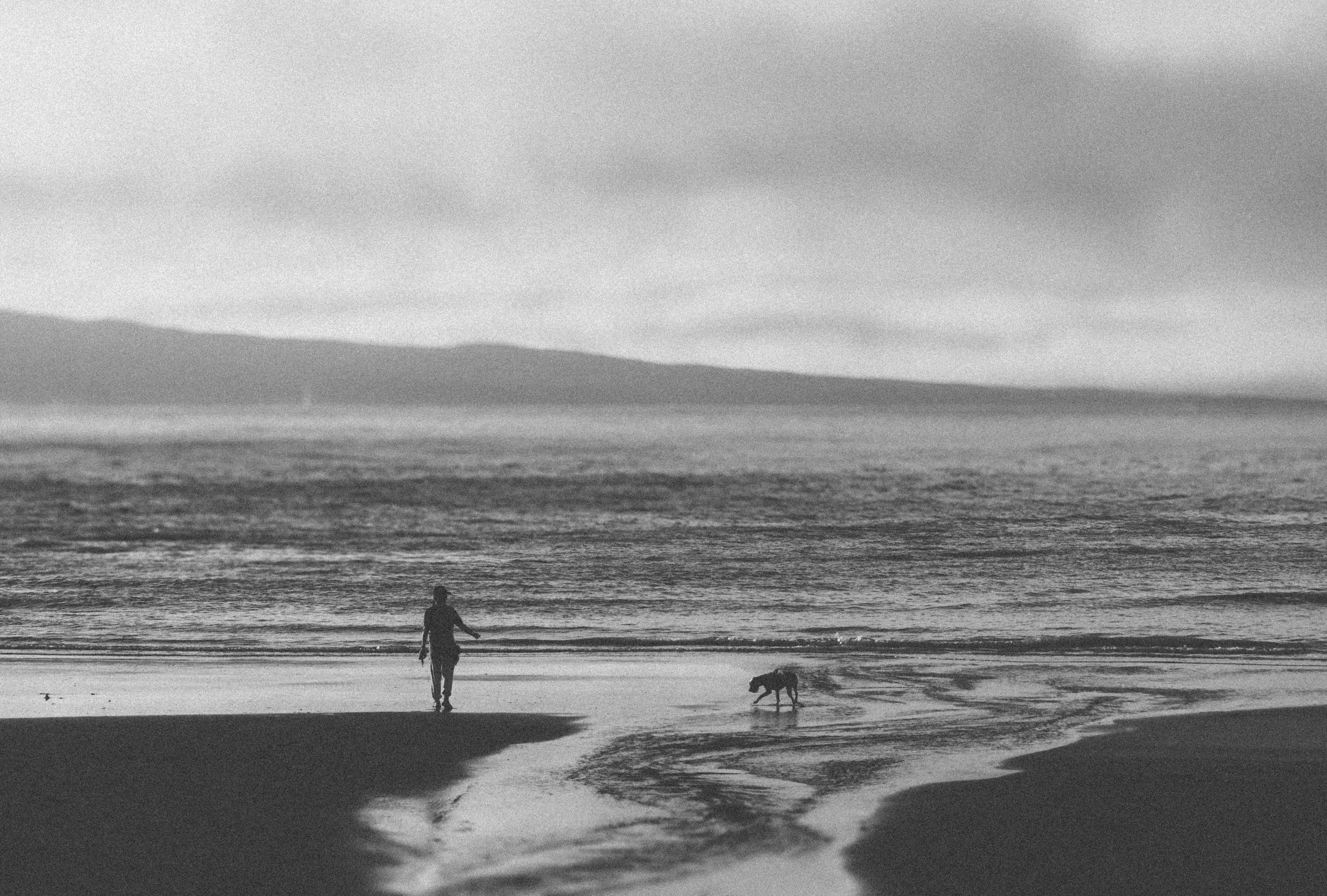 A person walking along the shoreline with a dog near the water, with large ocean waves and cloudy sky in the background.