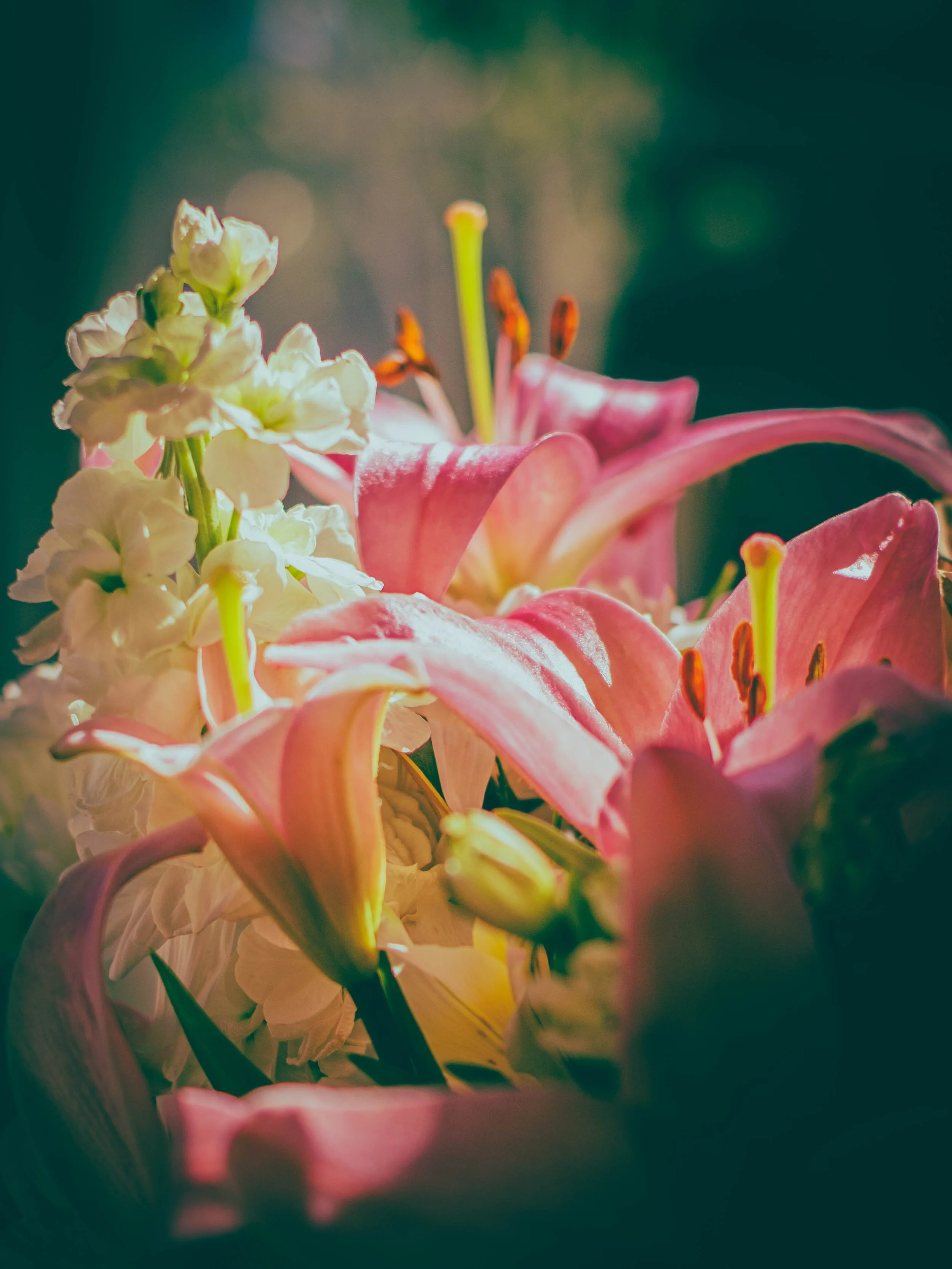 DSCF2425-2.jpg