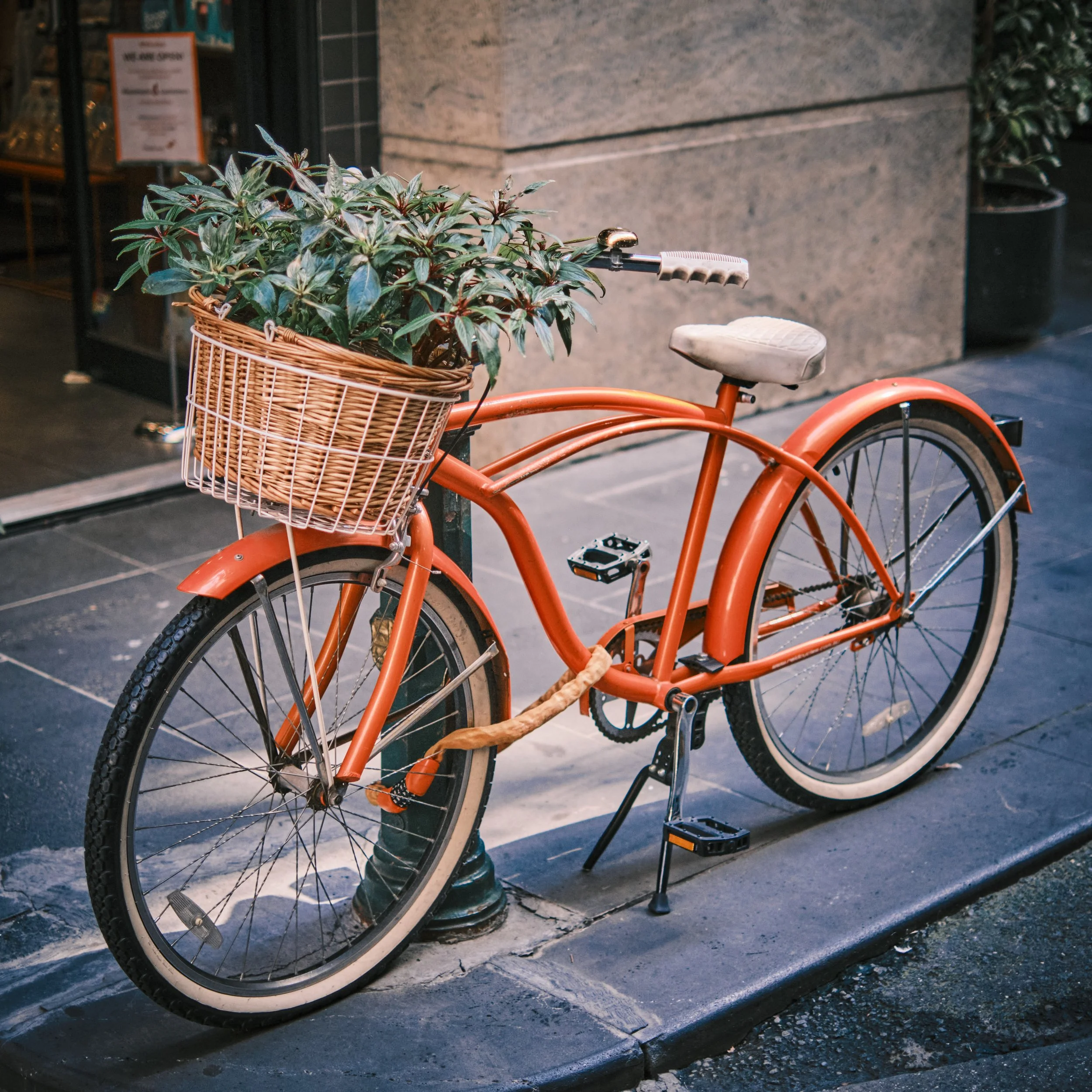 Orange bicycle with a wicker basket containing a leafy plant, parked outside a building on a sidewalk.
