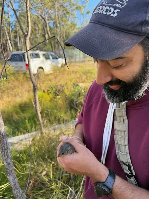 A Volunteer’s First Taste of Field Ecology at Banyula