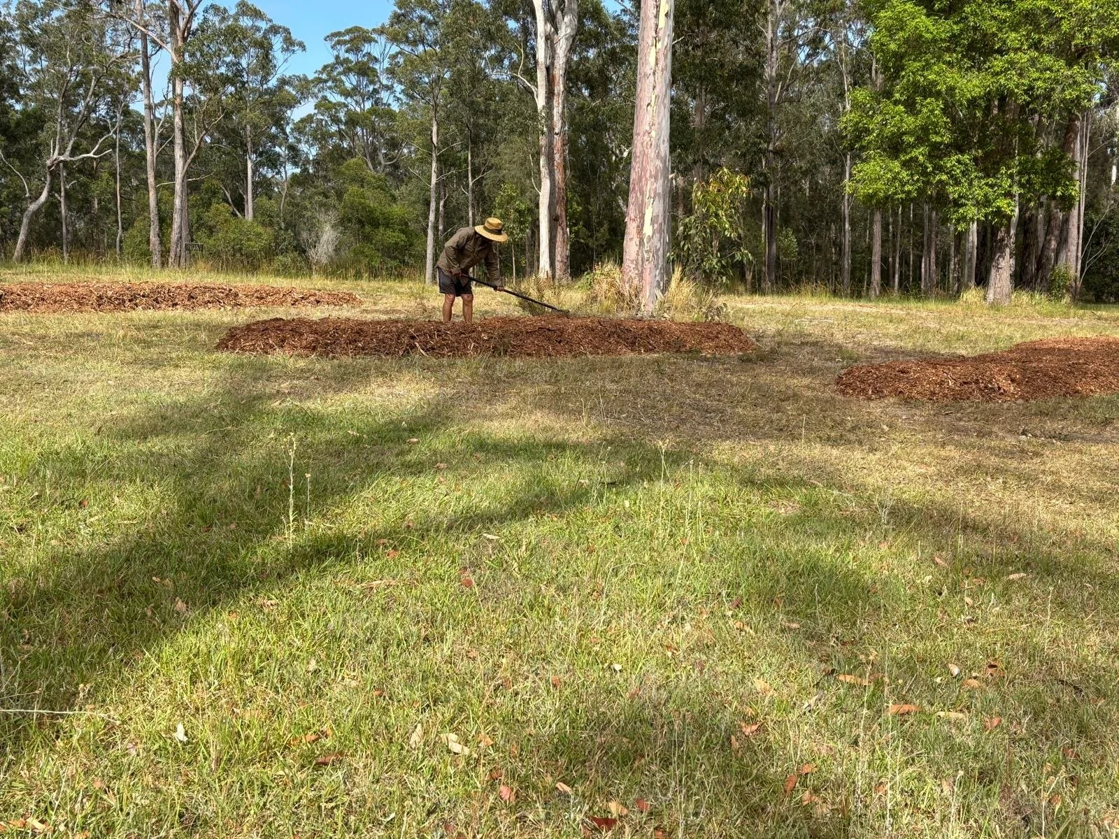 Banyula_spring_planting (2).JPG