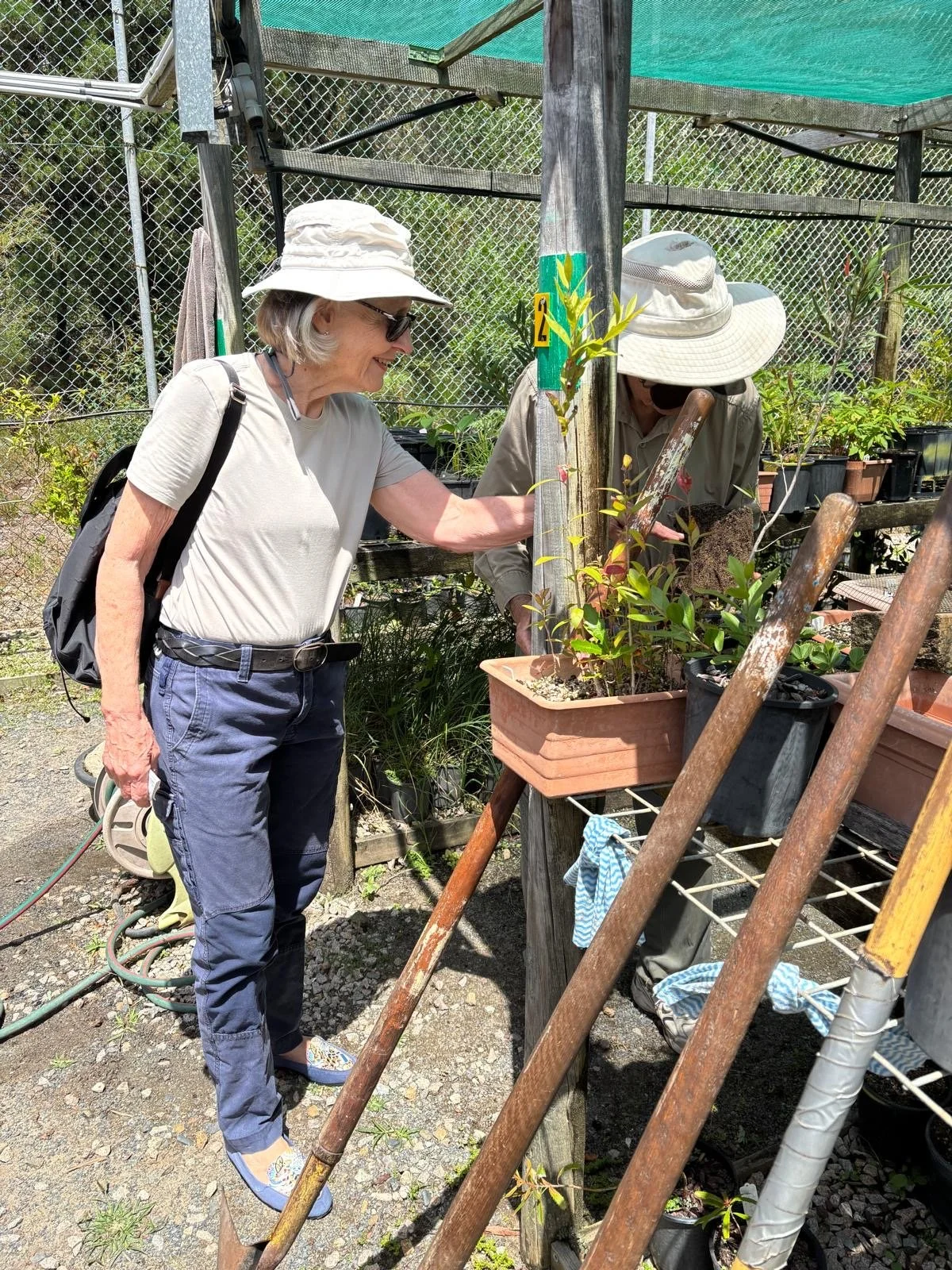 Banyula_spring_planting (8).JPG