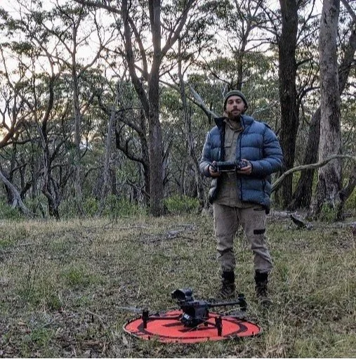 Koala Survey Finds Gliders