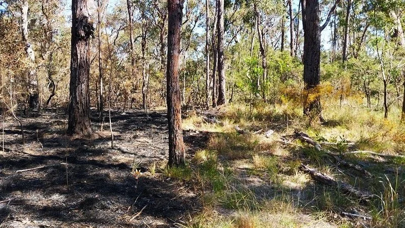 Summer Update 2025-26