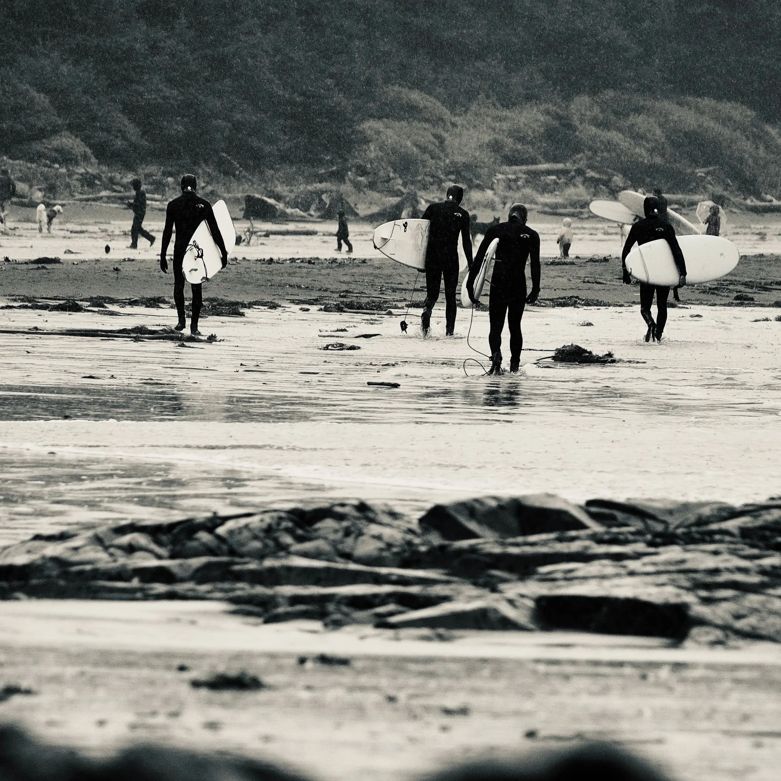 Surf Tribe