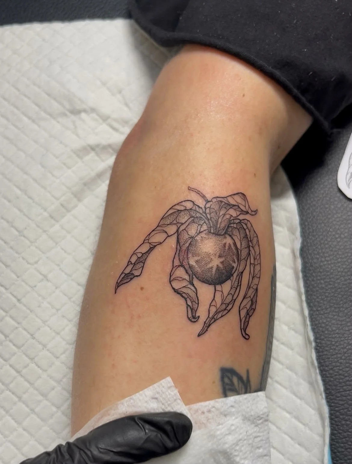 Black ink tattoo of a withered orange on a person's forearm, with detailed leaves and stem. Delicate fine line rose tattoo by Melbourne tattoo artist at Heart and Home Tattoo studio in Moonee Ponds