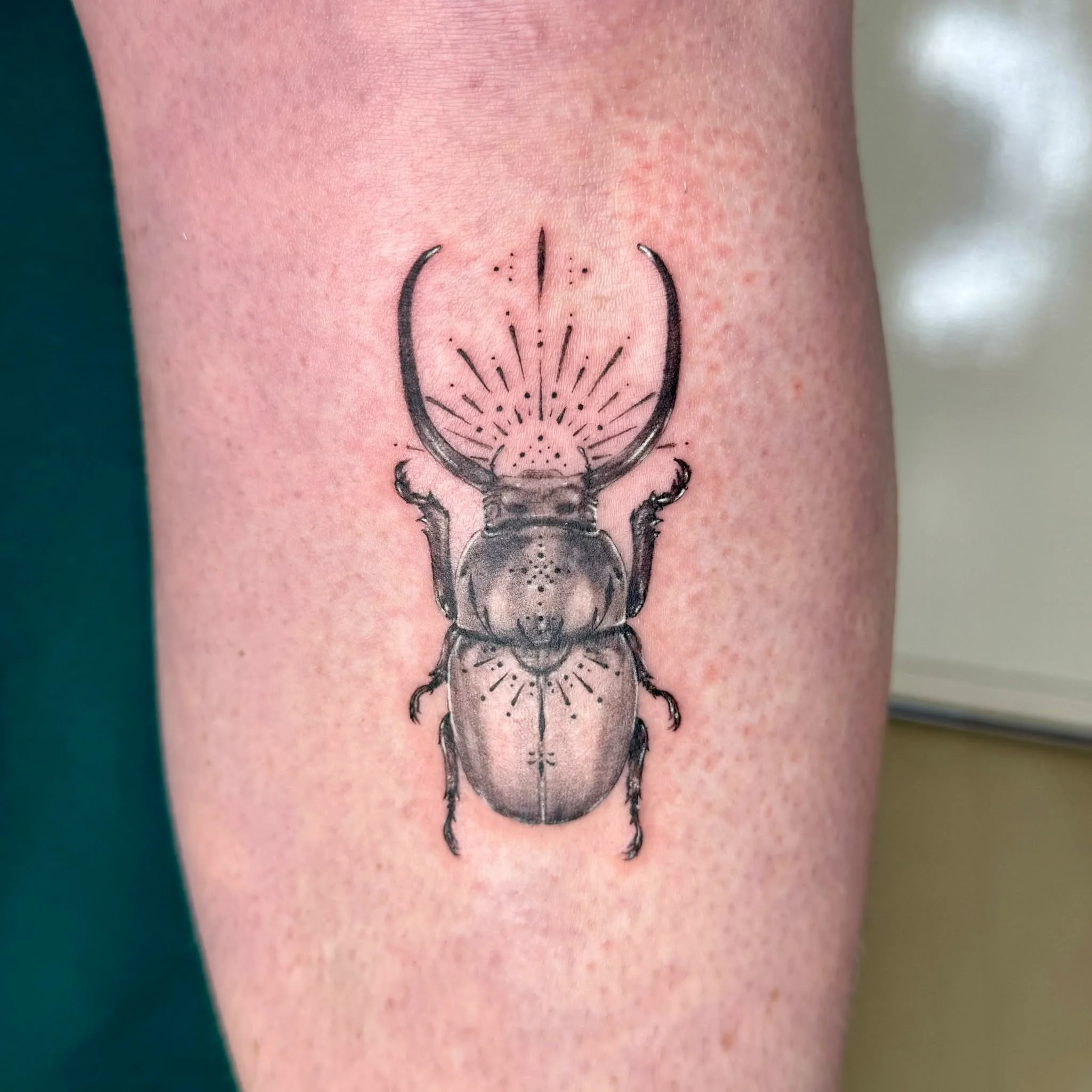 Realism Tattoo of a detailed black and gray beetle with decorative markings, positioned vertically on the skin. Melbourne best tattoo studio