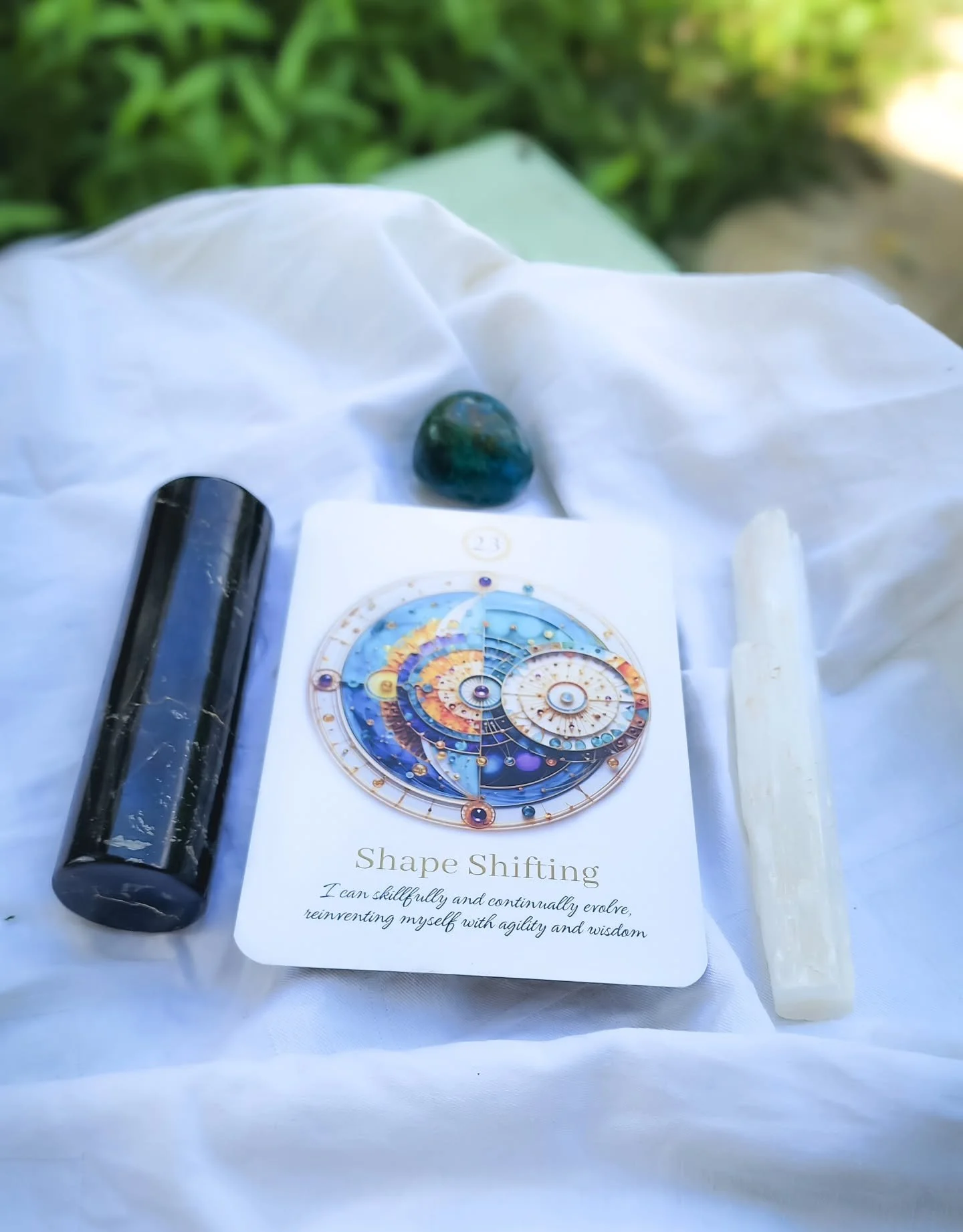 ◇ The Quantum Weaver's Journey ◇
Week Twenty-Three &mdash; Shape Shifting | Integration Stream

The spiral knew before we did.

Have you ever had this feeling? Where something in your life starts to feel worn. The way you have been moving through lif