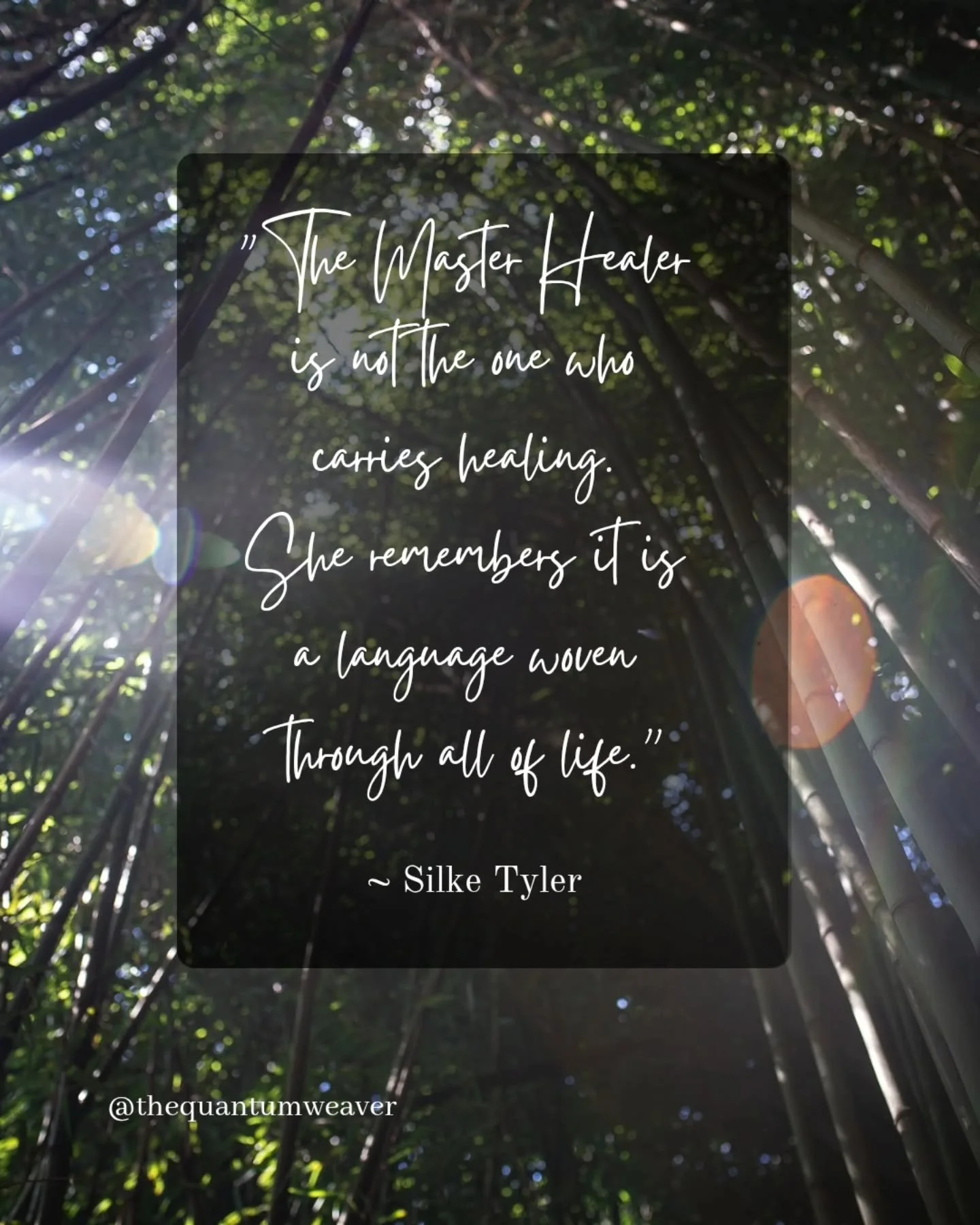 This language was never lost, only quiet beneath the noise.

Waiting in the seemingly ordinary moments.
In beauty. In touch. In stillness.

As roots finding water, flowers turning toward the sun, and something ancient within us recognizing itself wit
