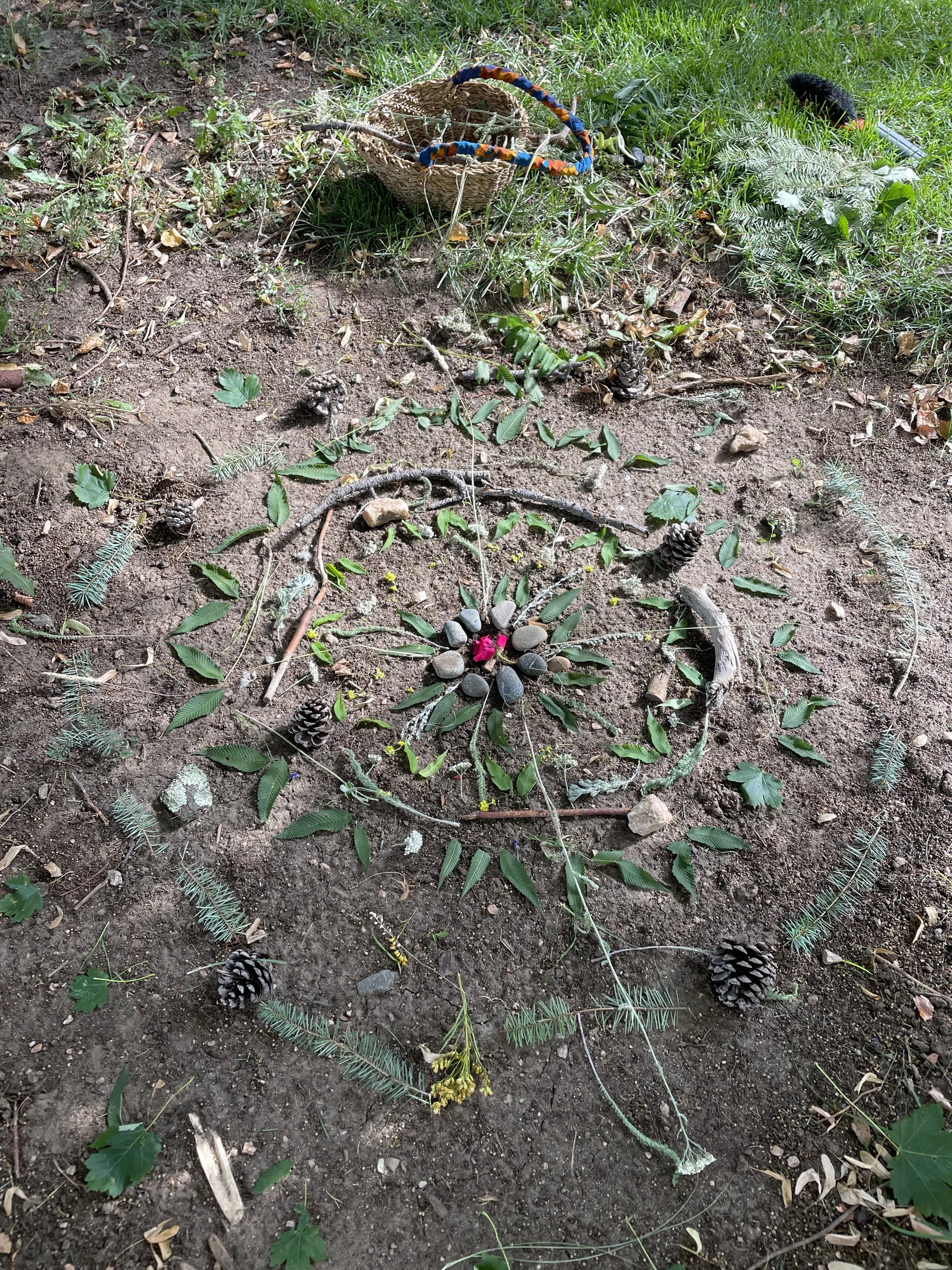 Rooting and Rewilding Women’s Group