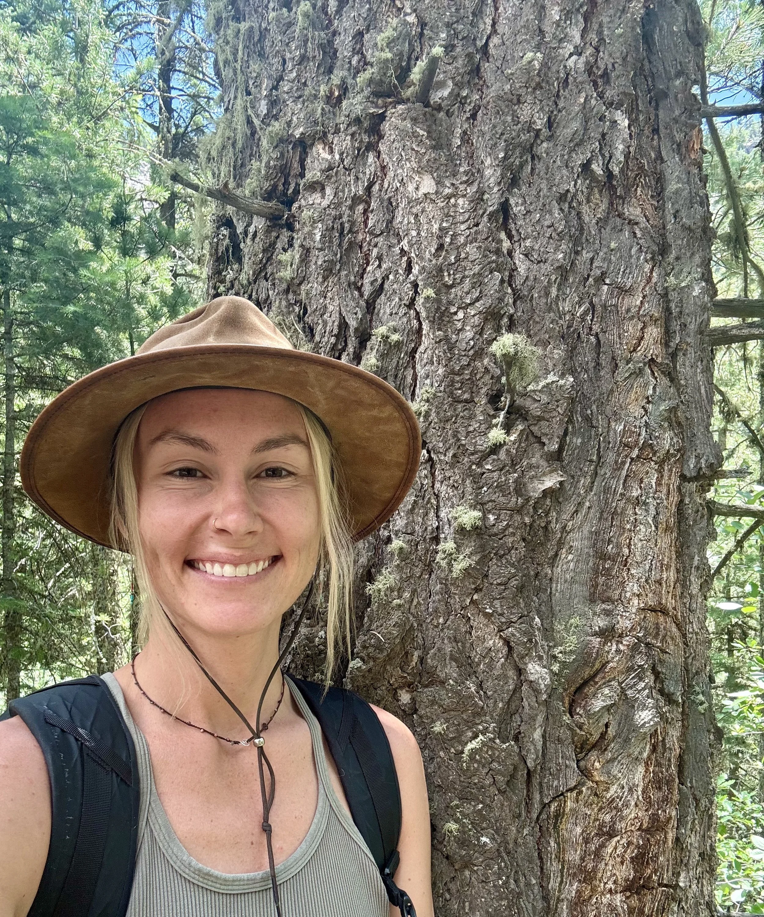 Kaiser Therapist Colorado