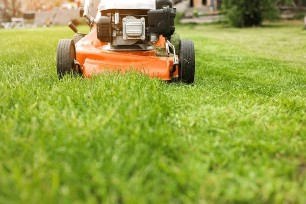 Lawn mower cutting grass in a yard.