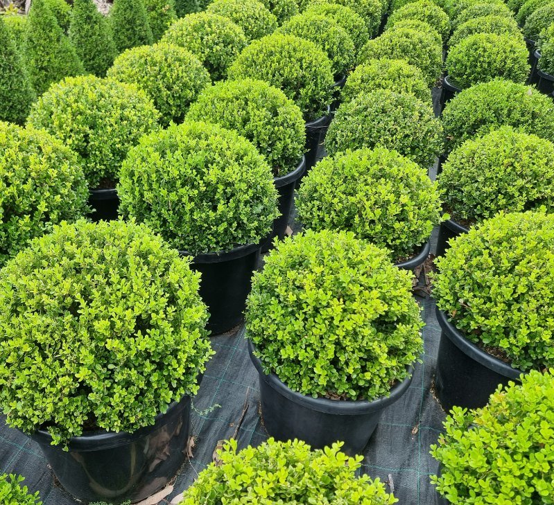 image000000 copy 2.JPG