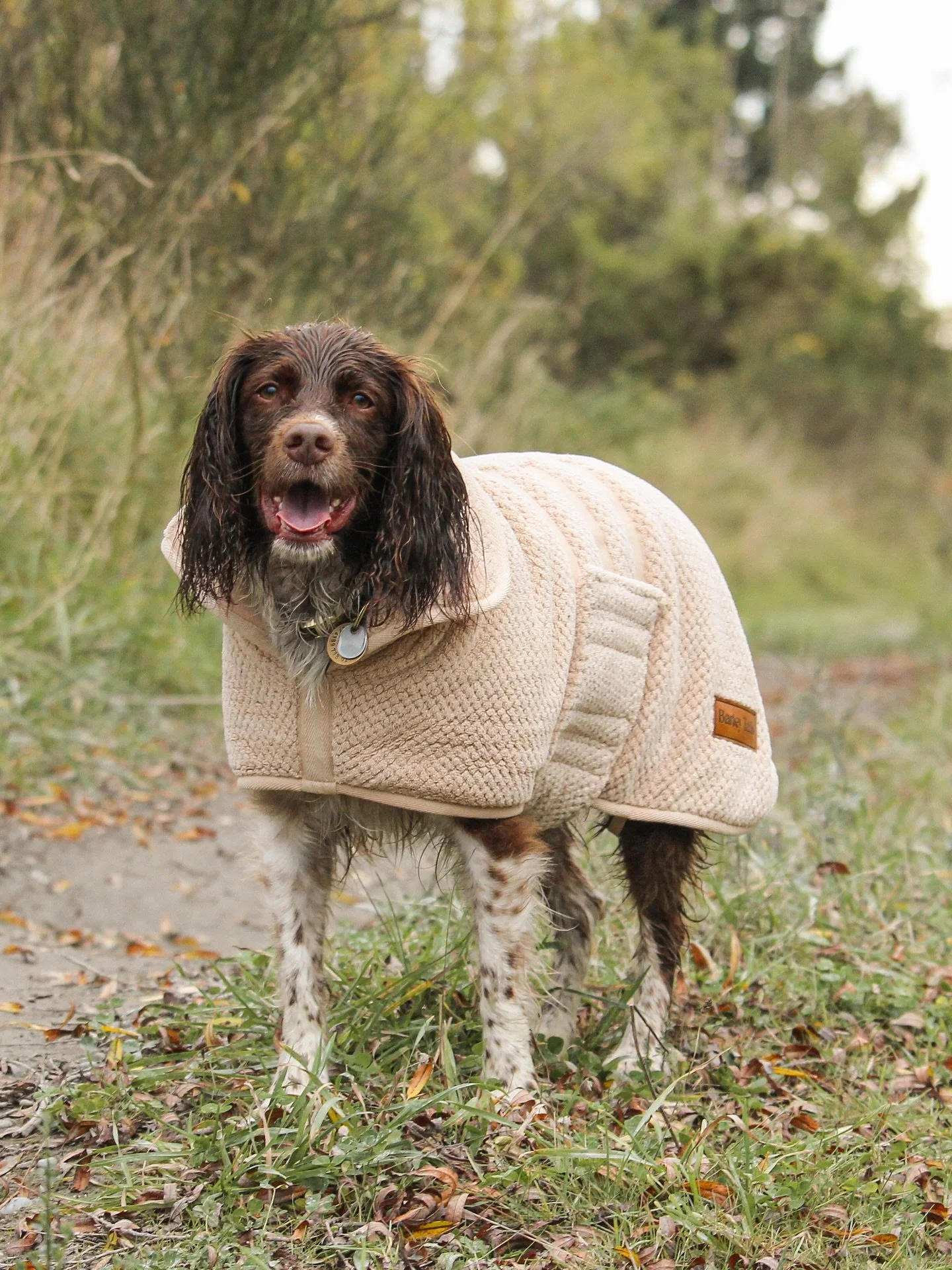 Launching tomorrow &mdash; Saturday 21 June! 🐾 

The Mudroom Dog Towel is your simple solution for soggy dogs and muddy messes.

Perfect after swims, rainy walks, muddy missions or bath time. Protect your home and car &mdash; and keep your pup snug 