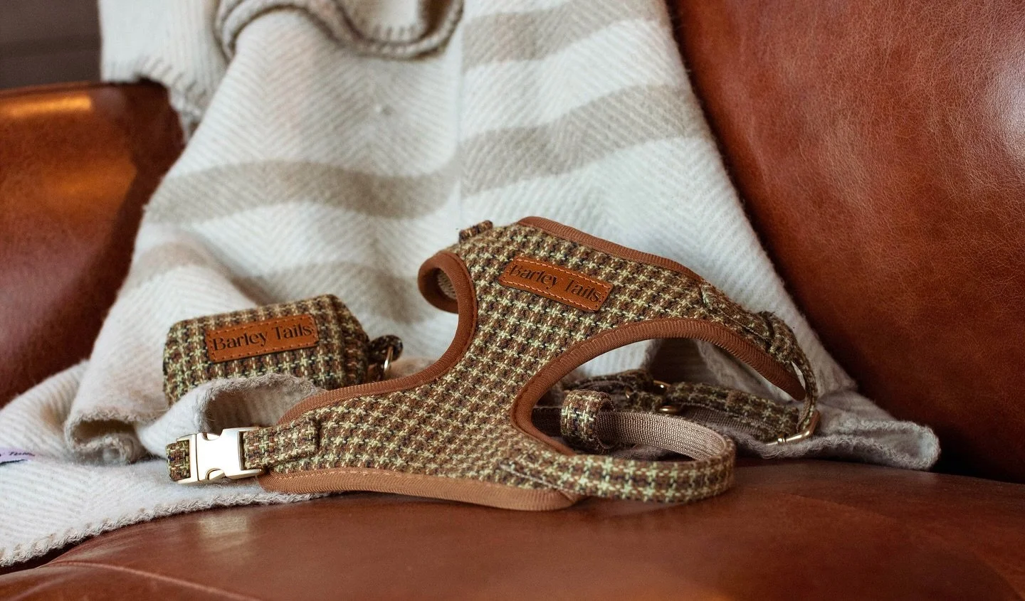 A few beautiful moments captured by the talented @woodspawtraits , who kindly looked after Murph and Mac for us 🤎 The first snap features our Tussock Tweed harness and poop bag holder perfectly paired Wool Herringbone blanket.

Woods Pawtraits offer